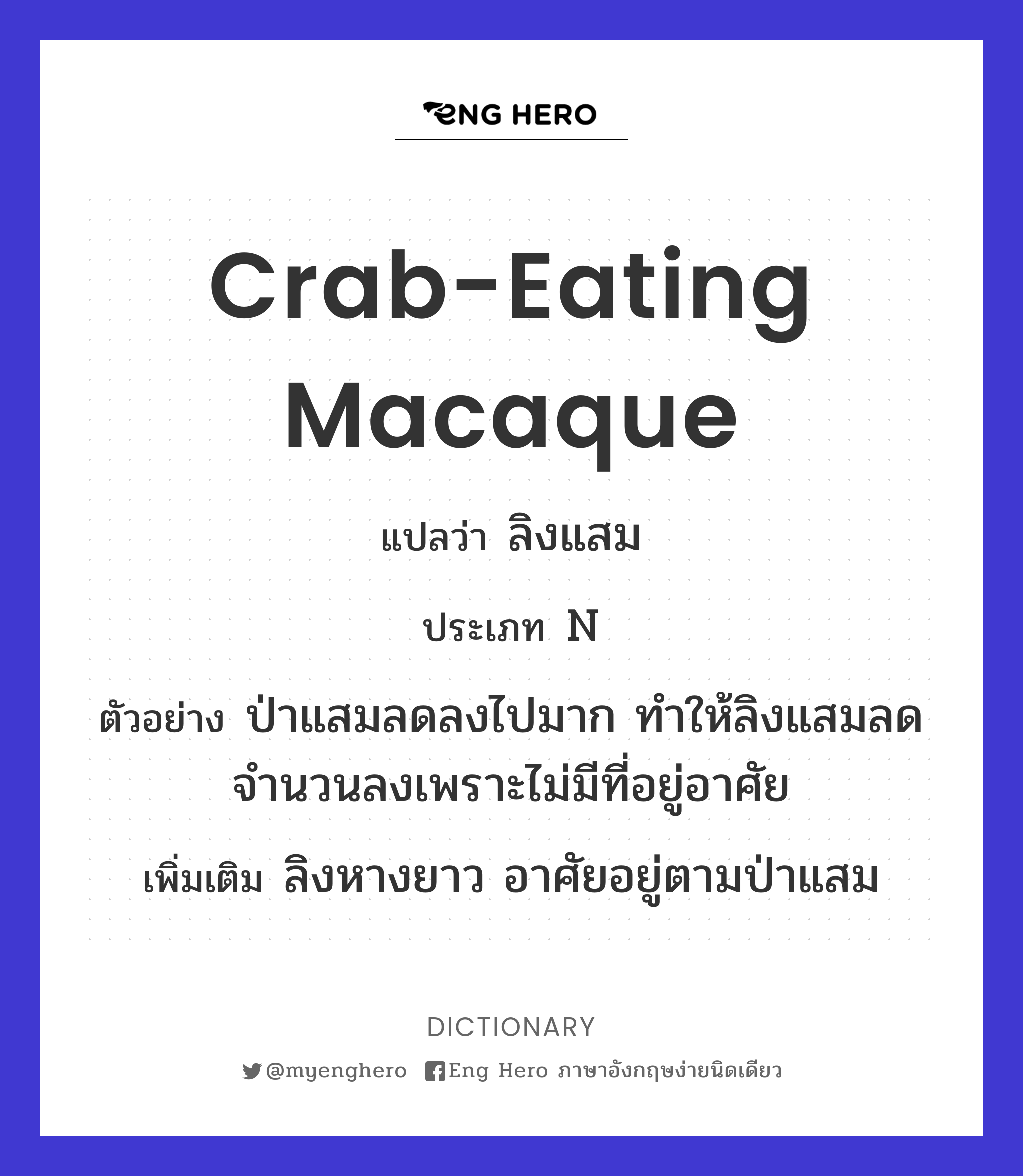 crab-eating macaque