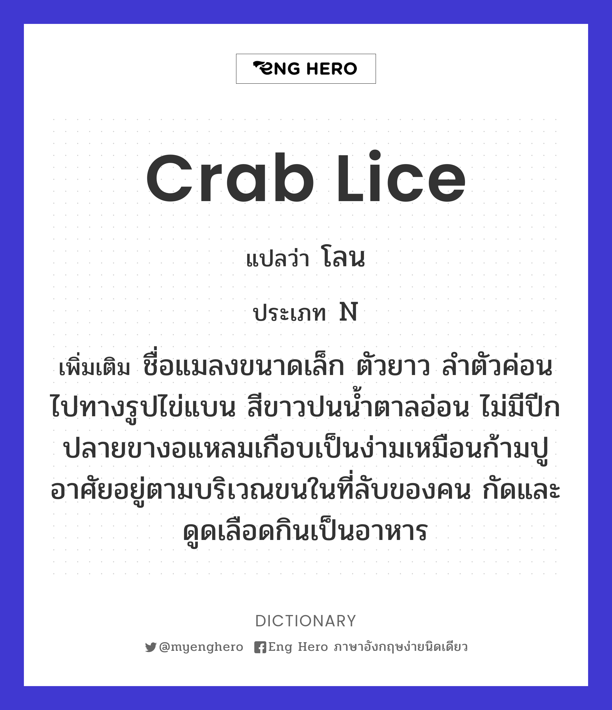 crab lice