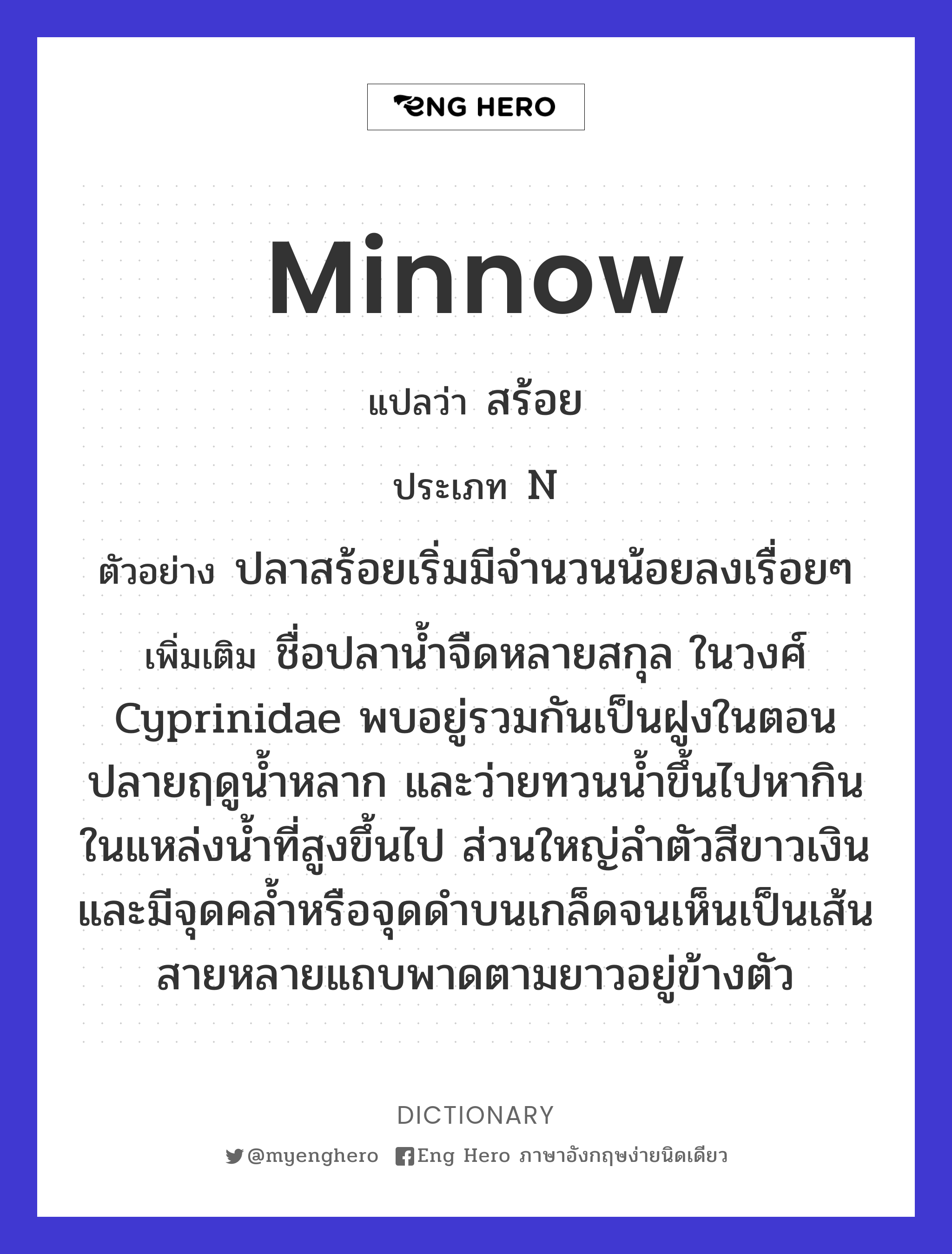 minnow