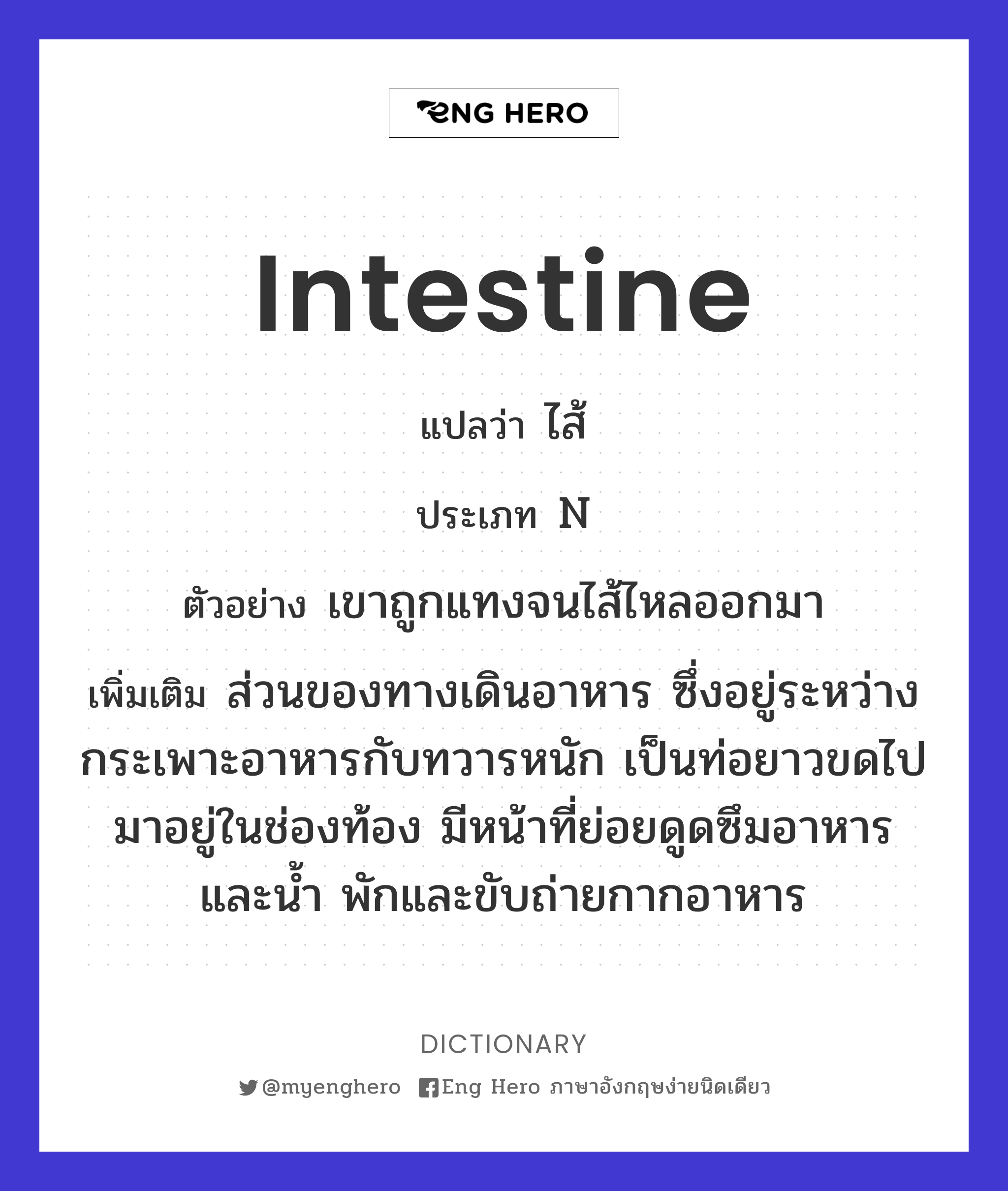 intestine