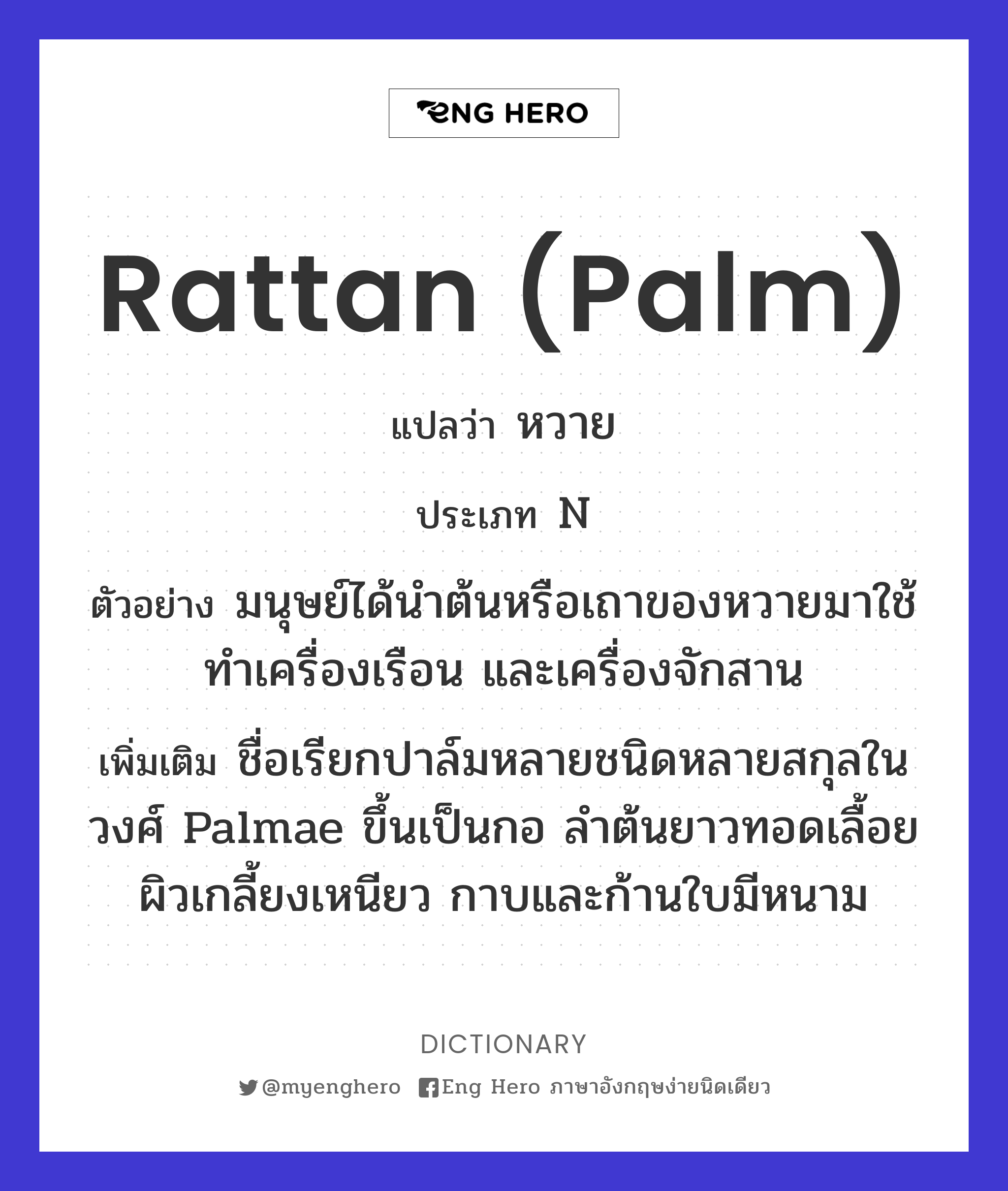 rattan (palm)