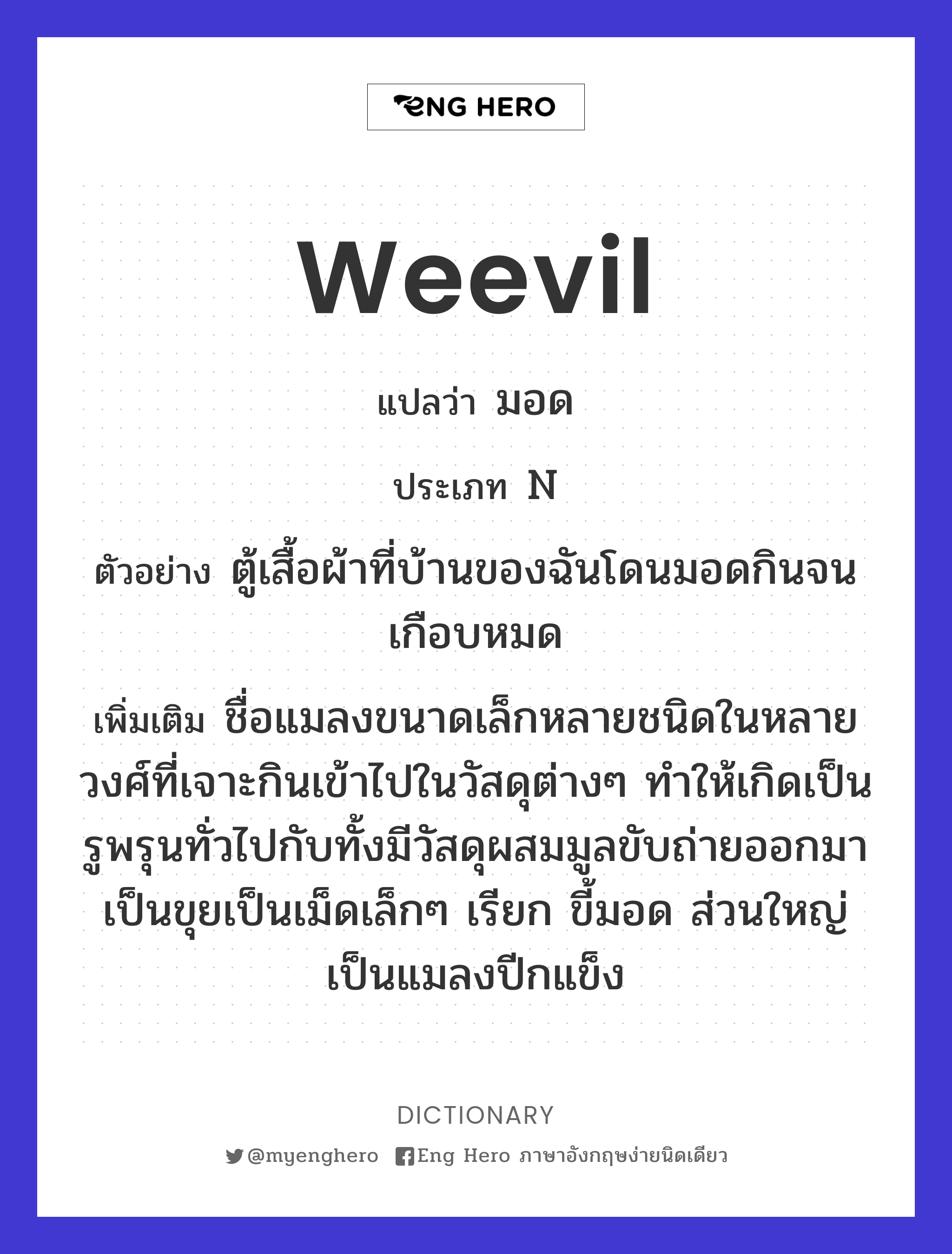 weevil