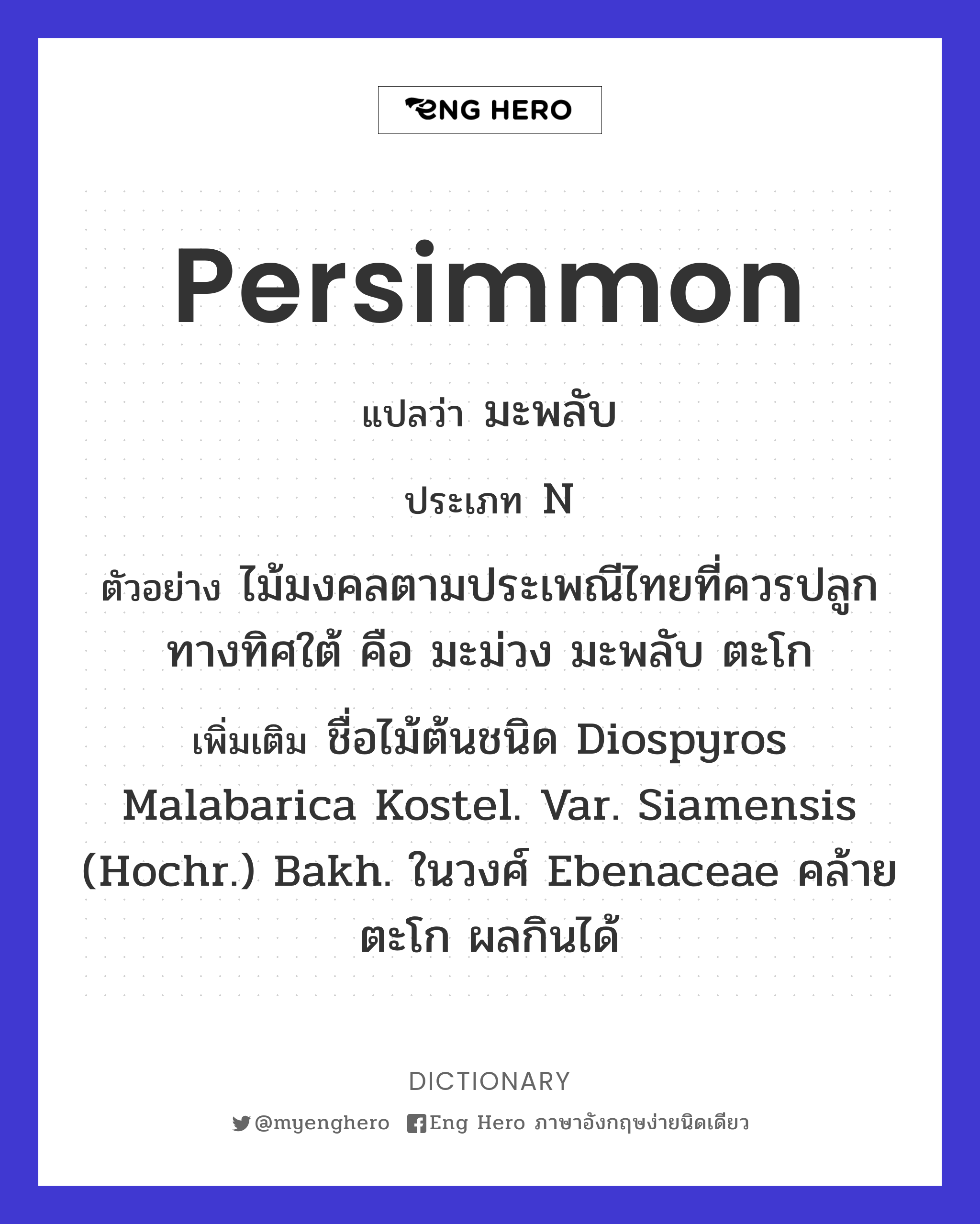 persimmon