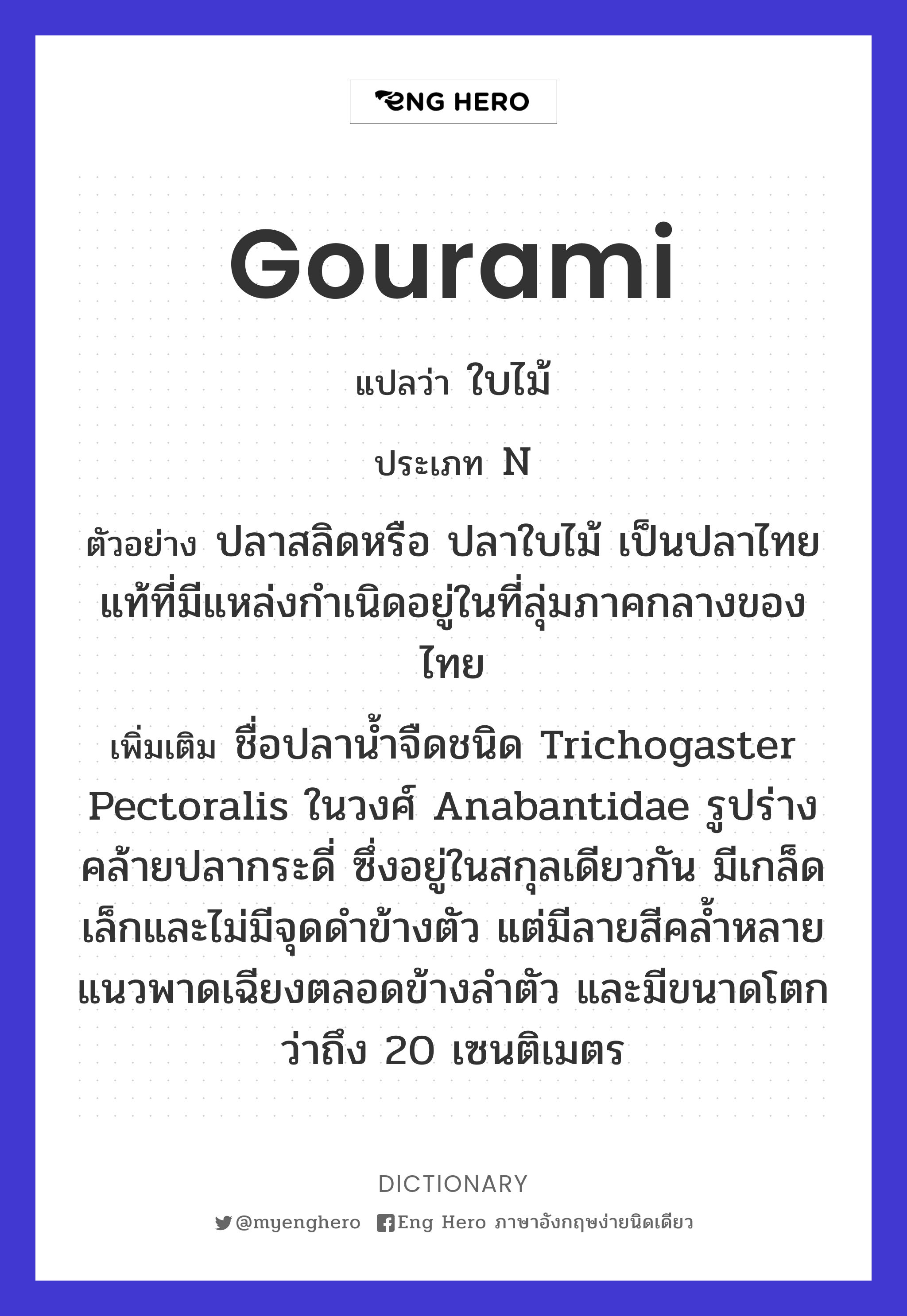 gourami