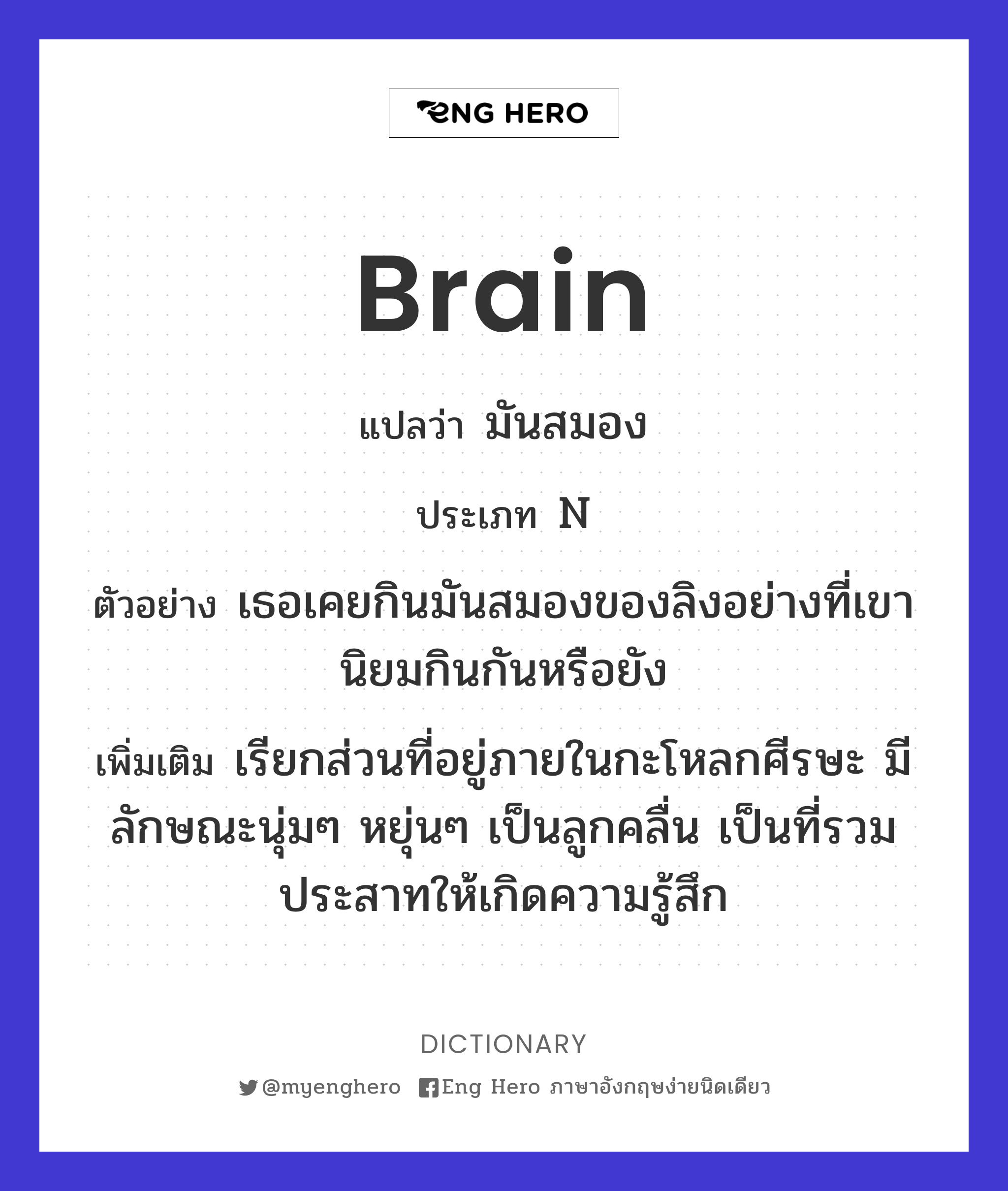 brain