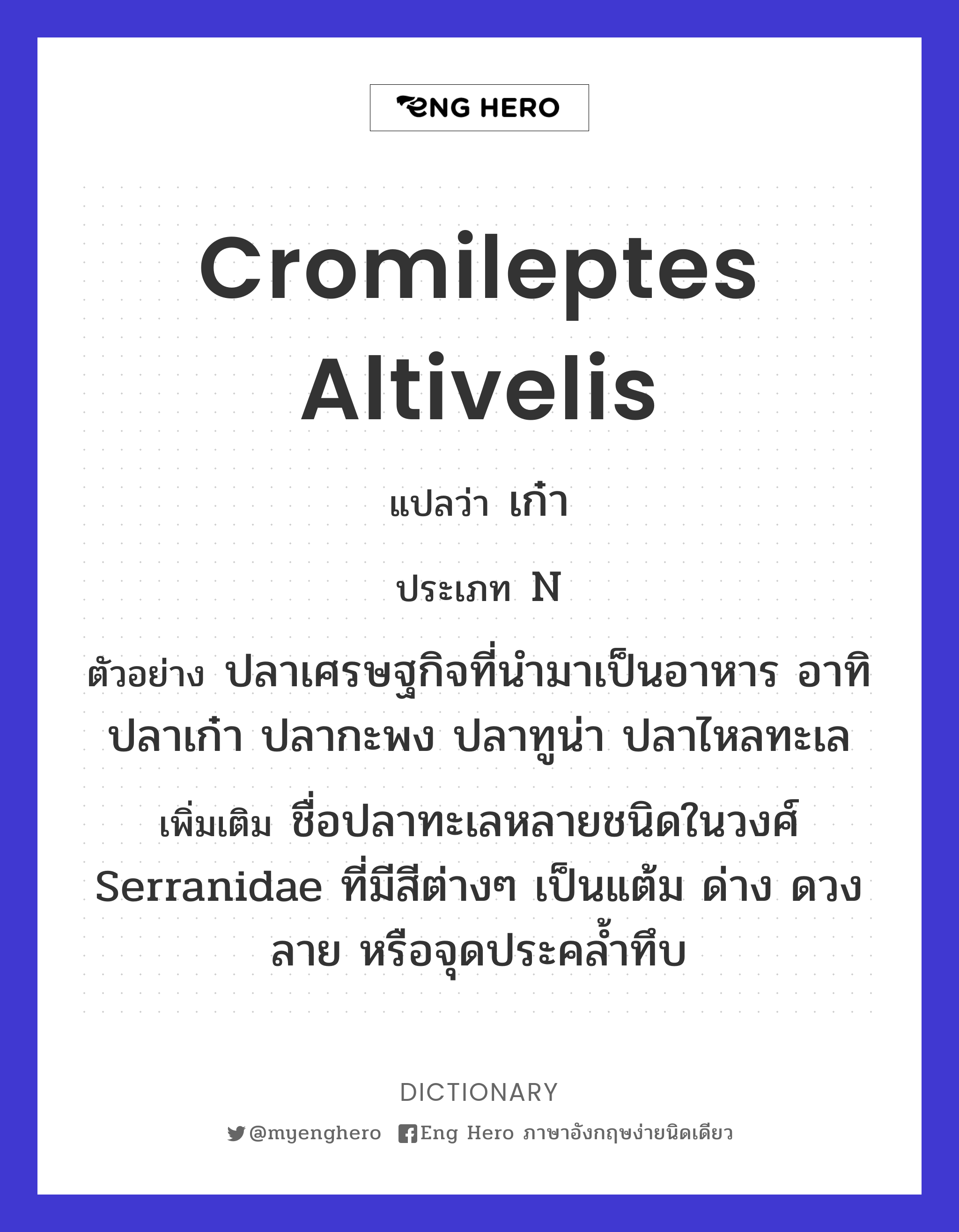Cromileptes altivelis