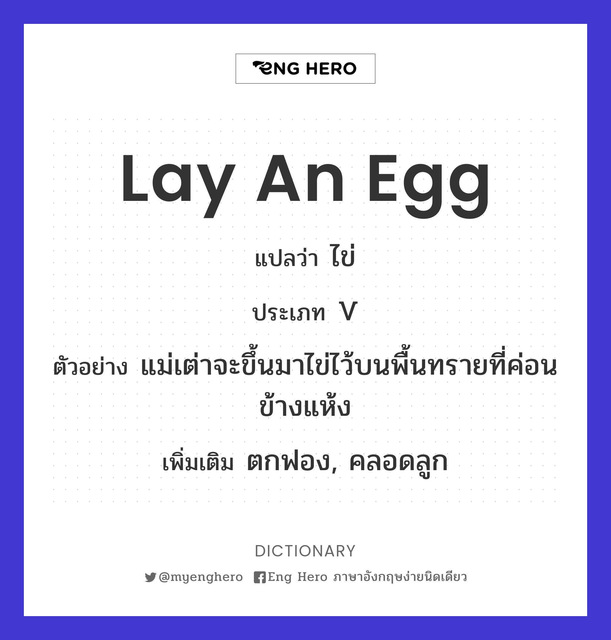 lay an egg