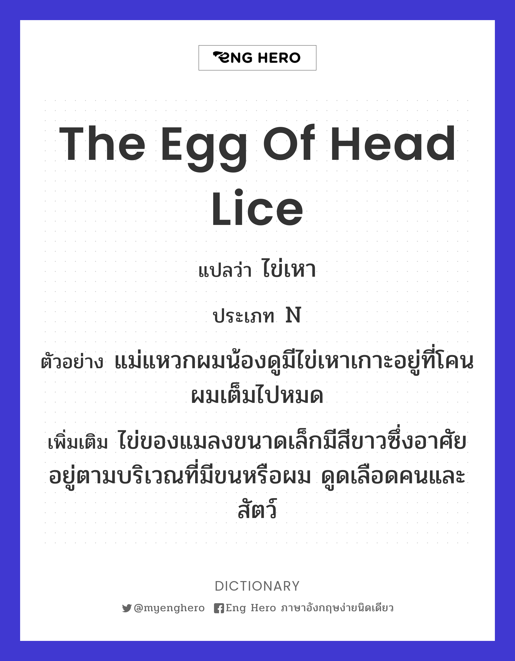 the egg of head lice