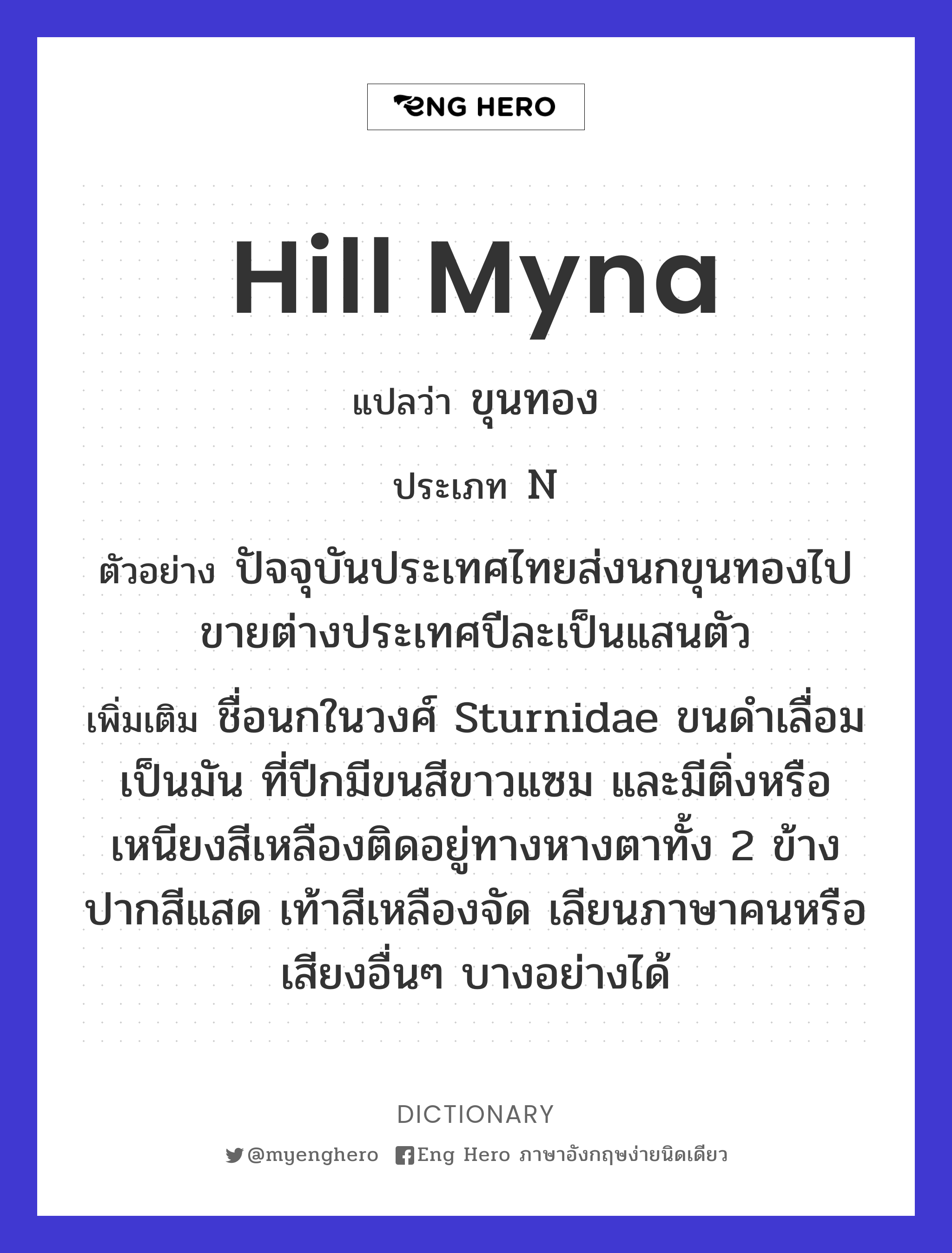 hill myna