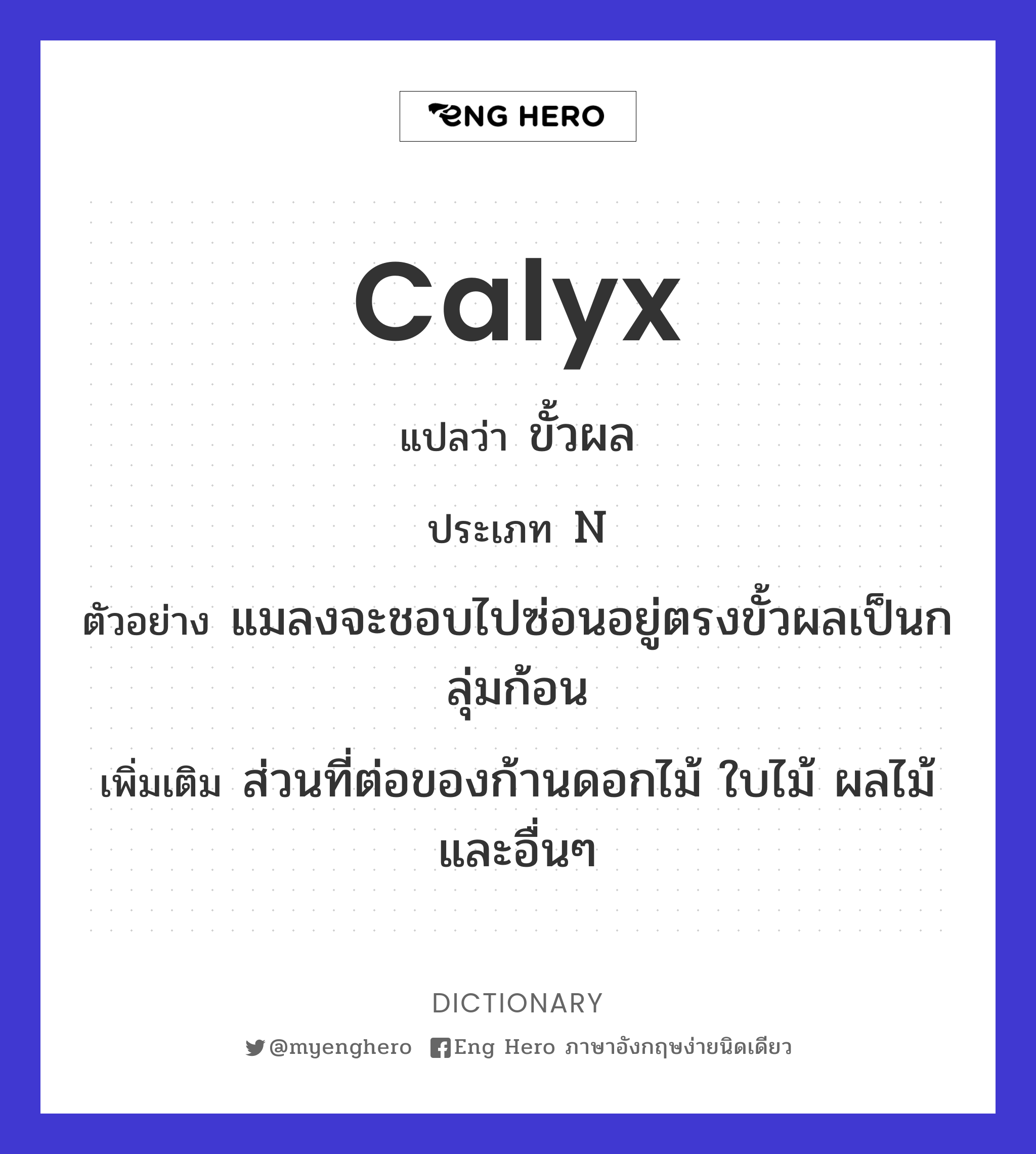 calyx