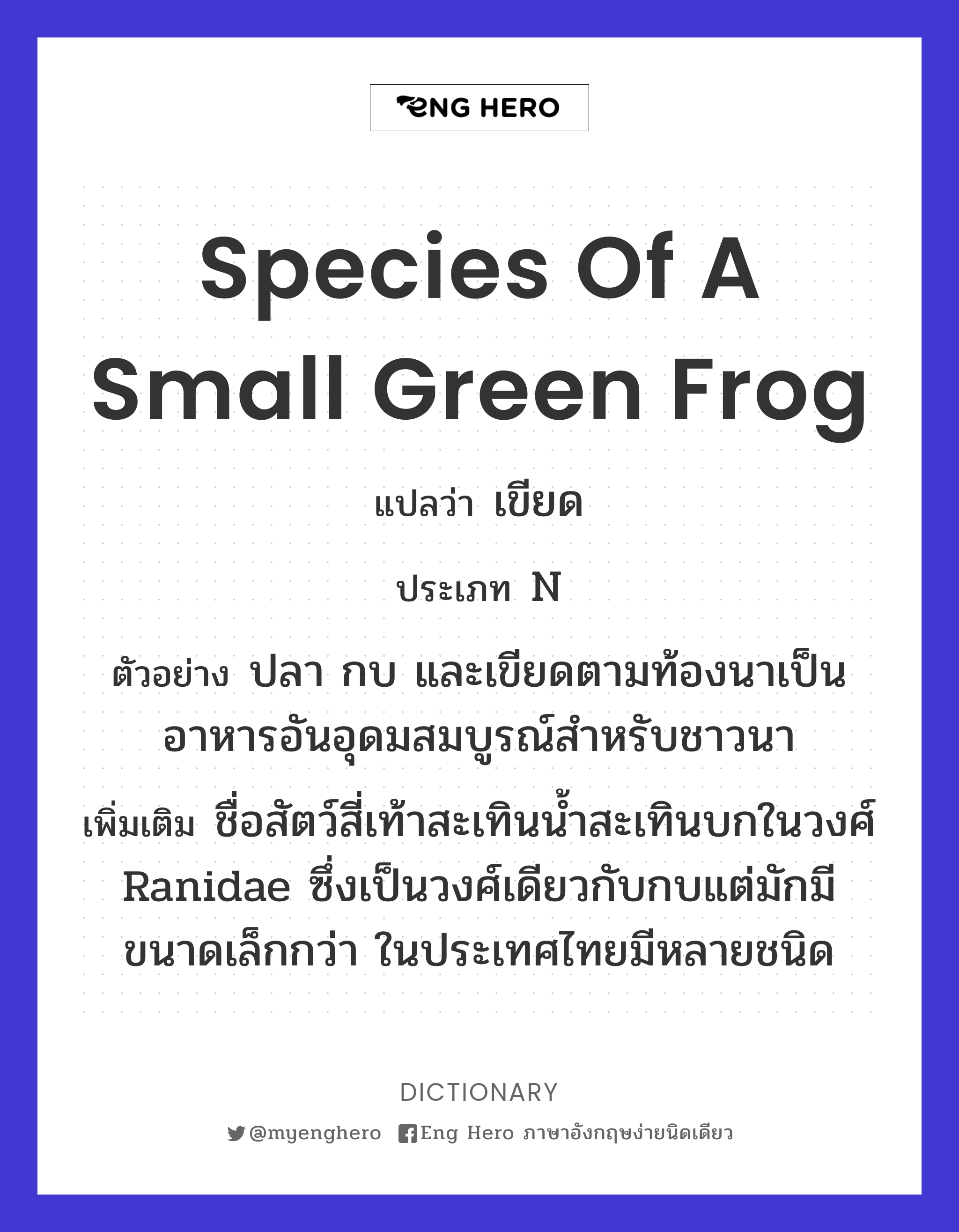 species of a small green frog