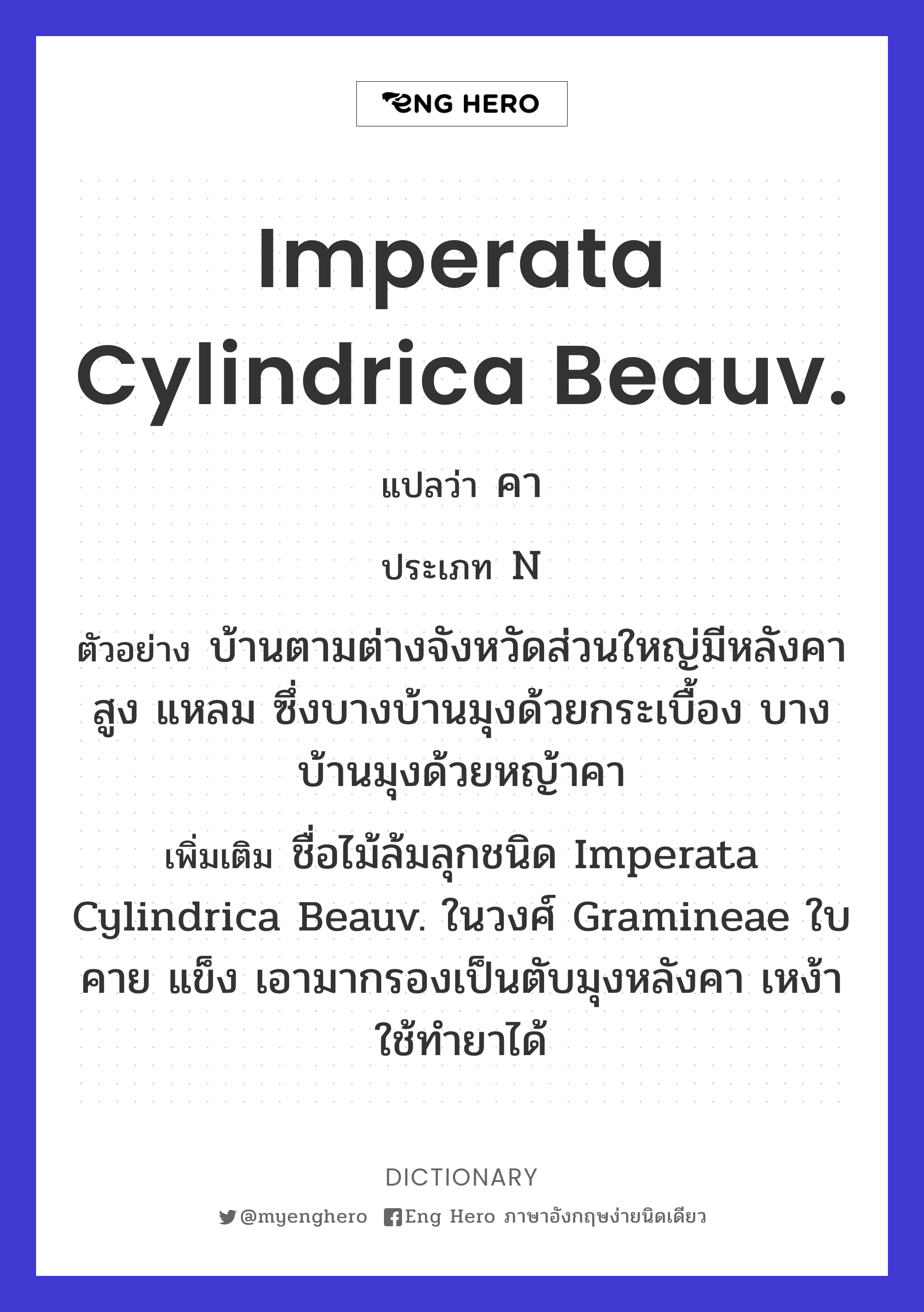 Imperata cylindrica Beauv.