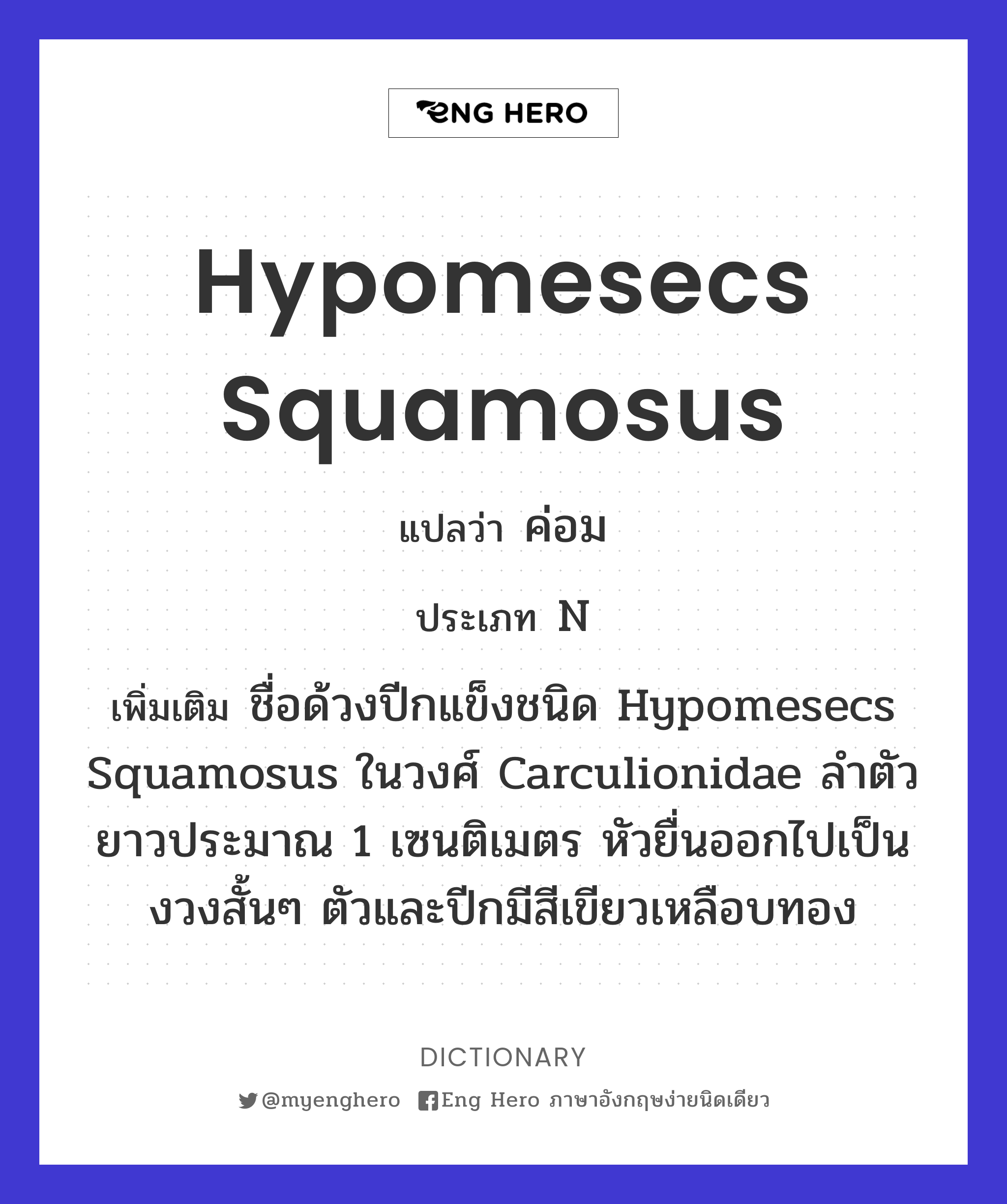 Hypomesecs squamosus