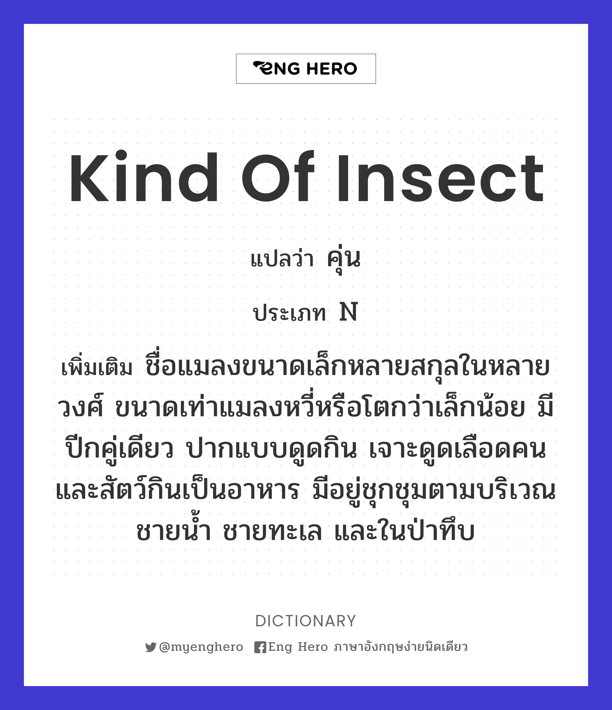 kind of insect