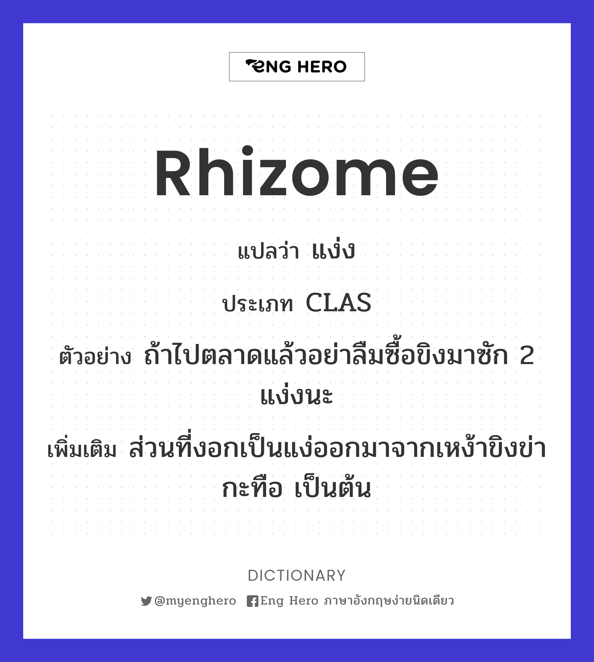 rhizome