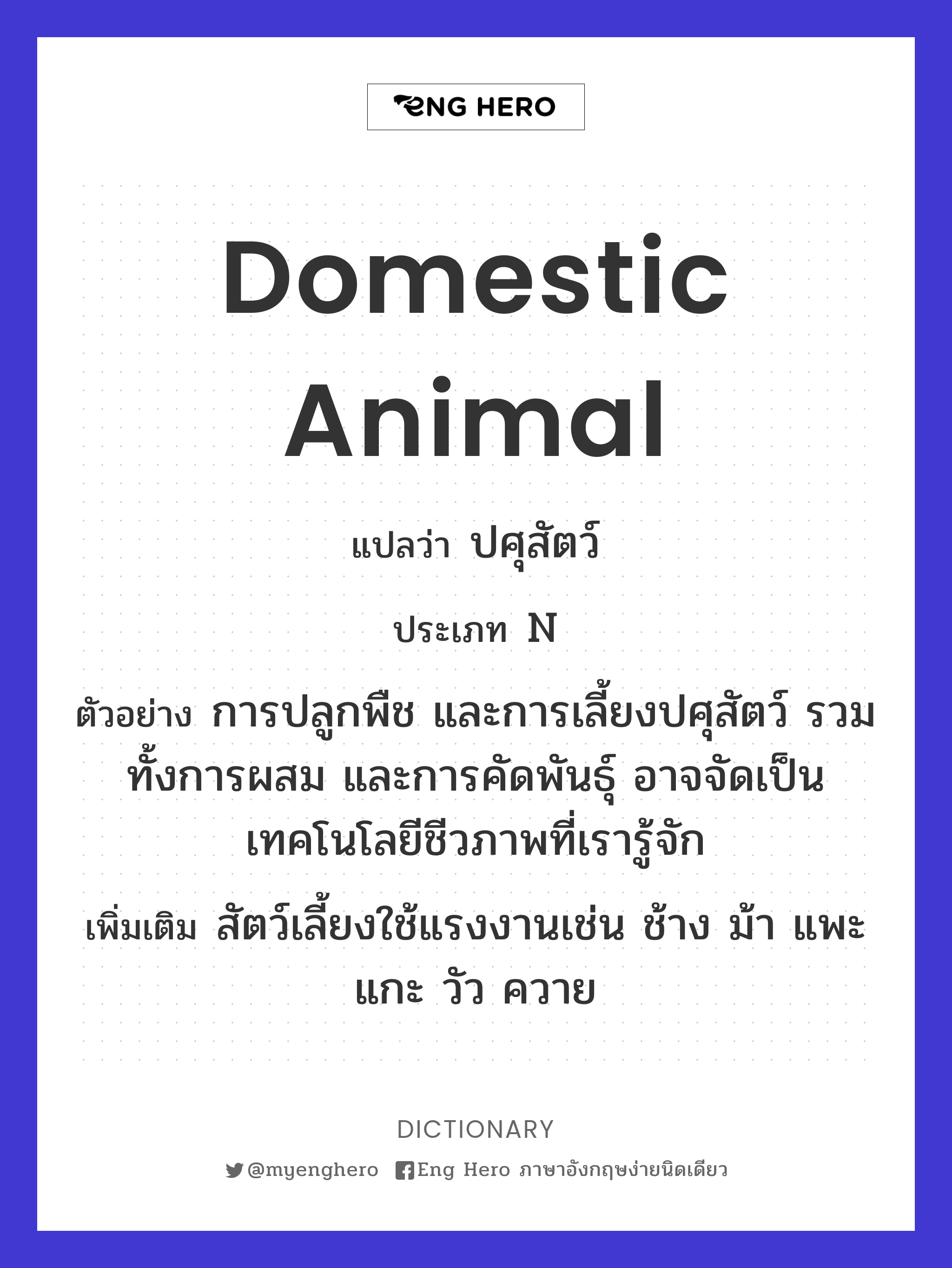 domestic animal