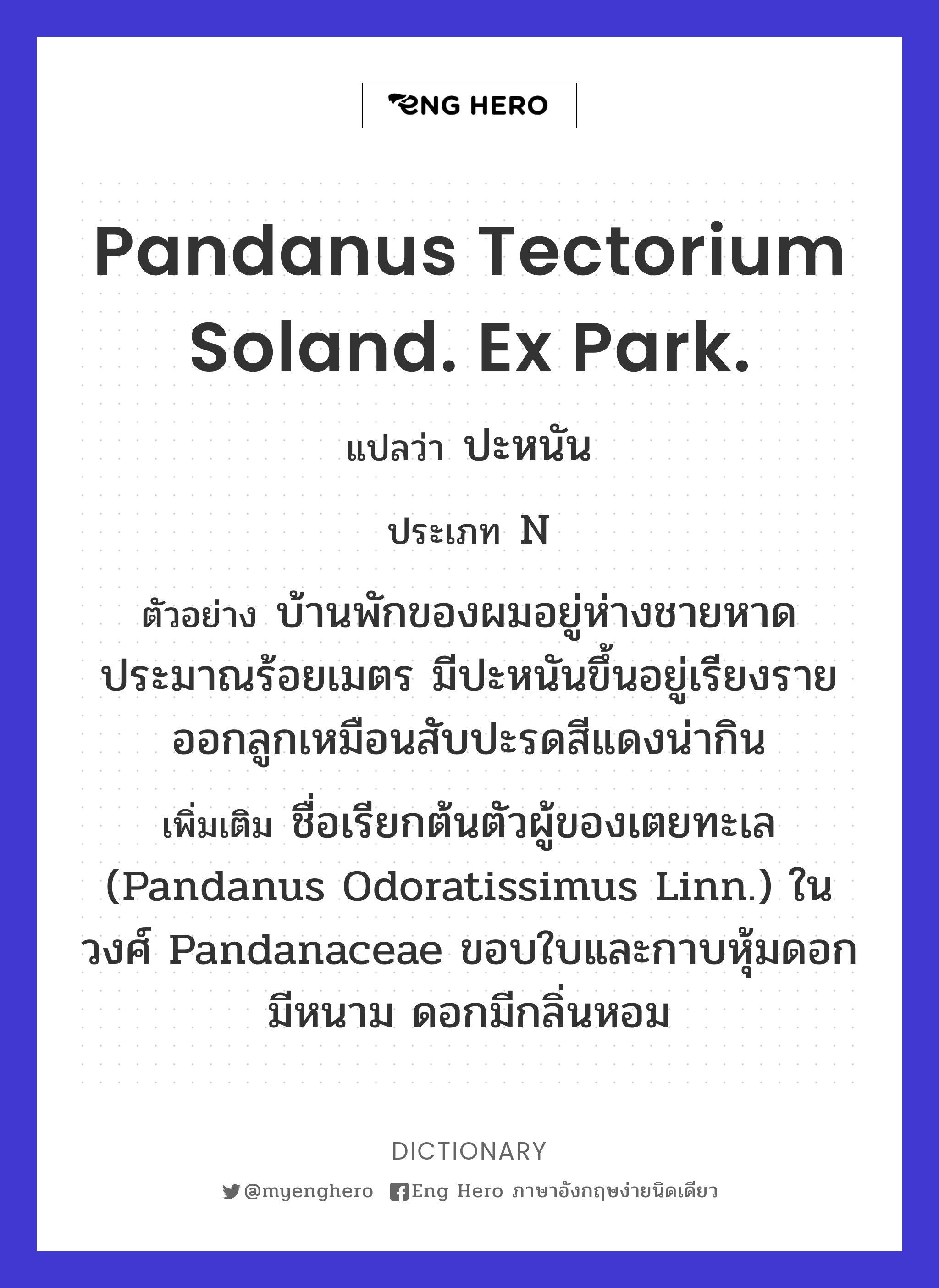 Pandanus tectorium Soland. Ex Park.