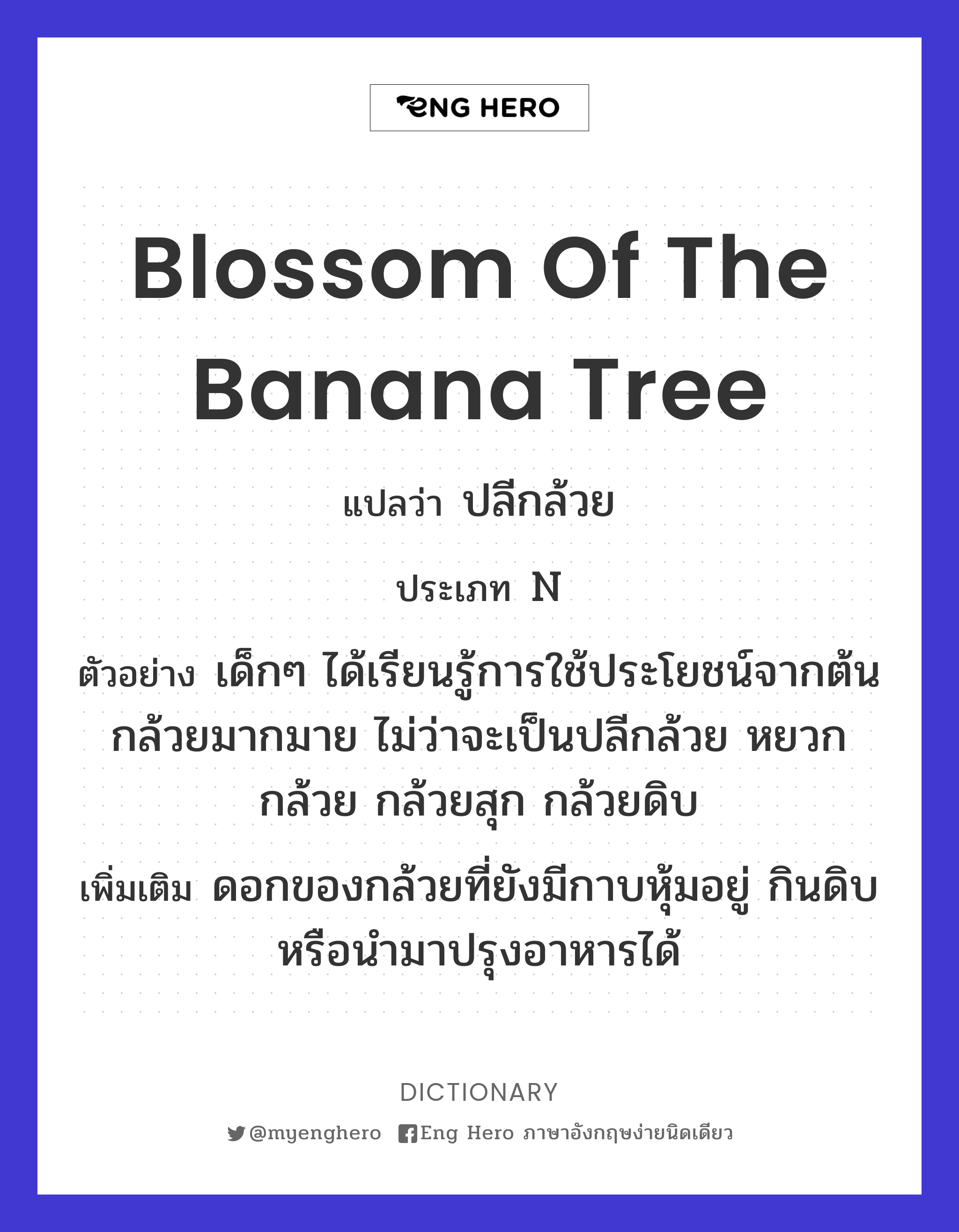 blossom of the banana tree