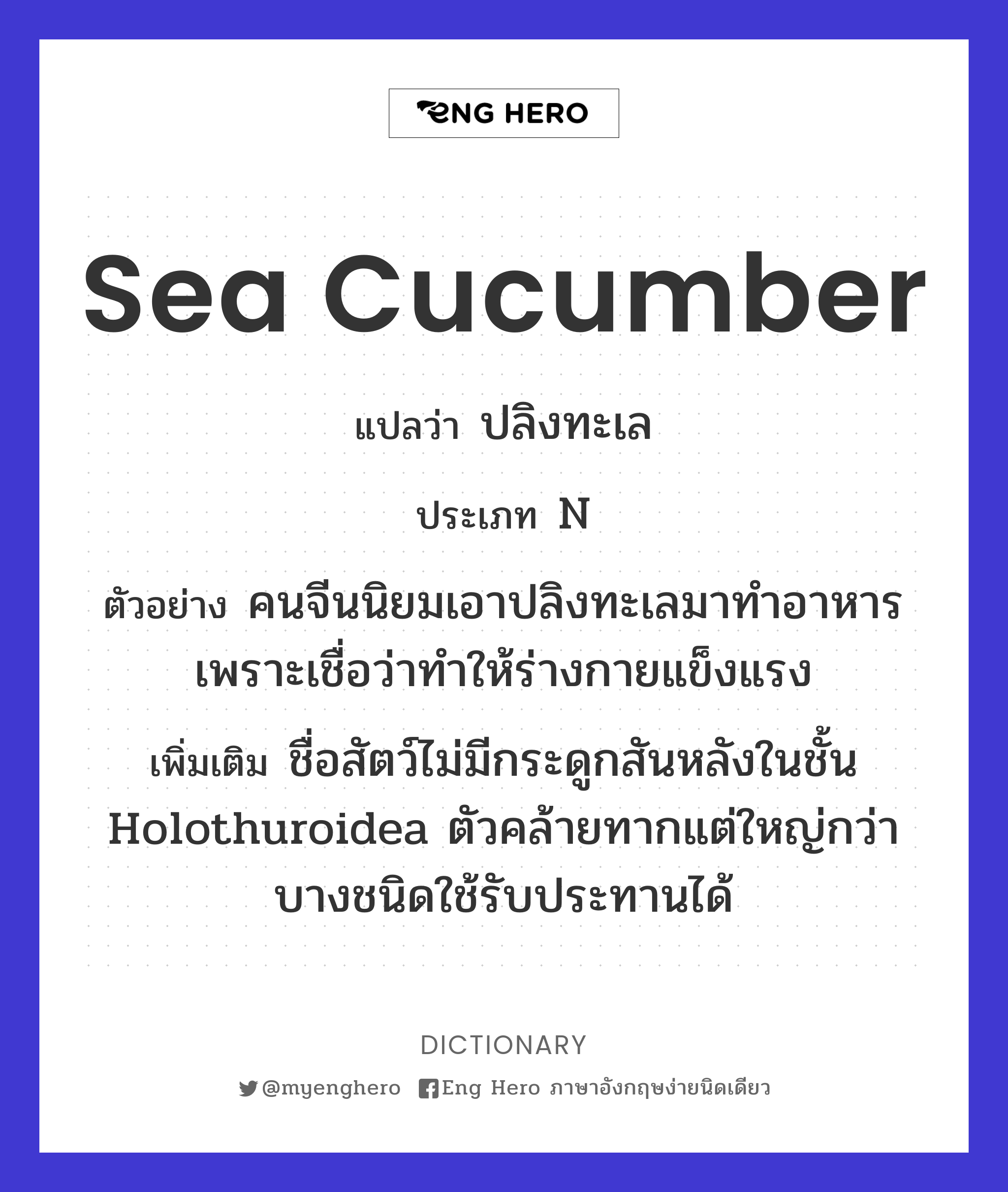 sea cucumber