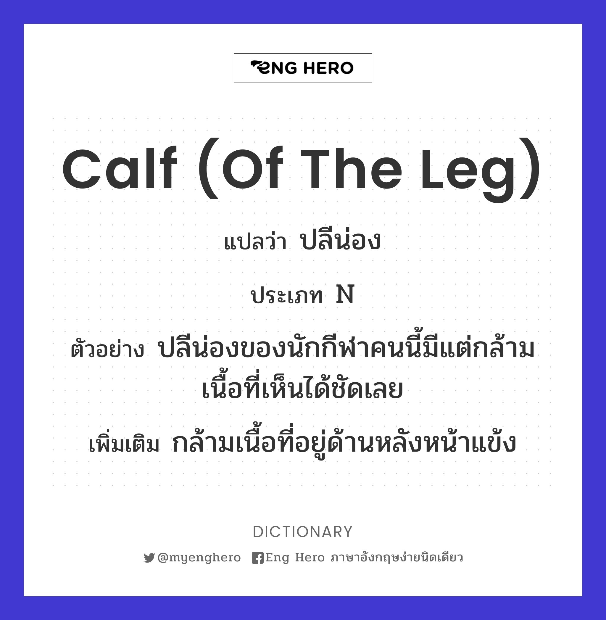 calf (of the leg)