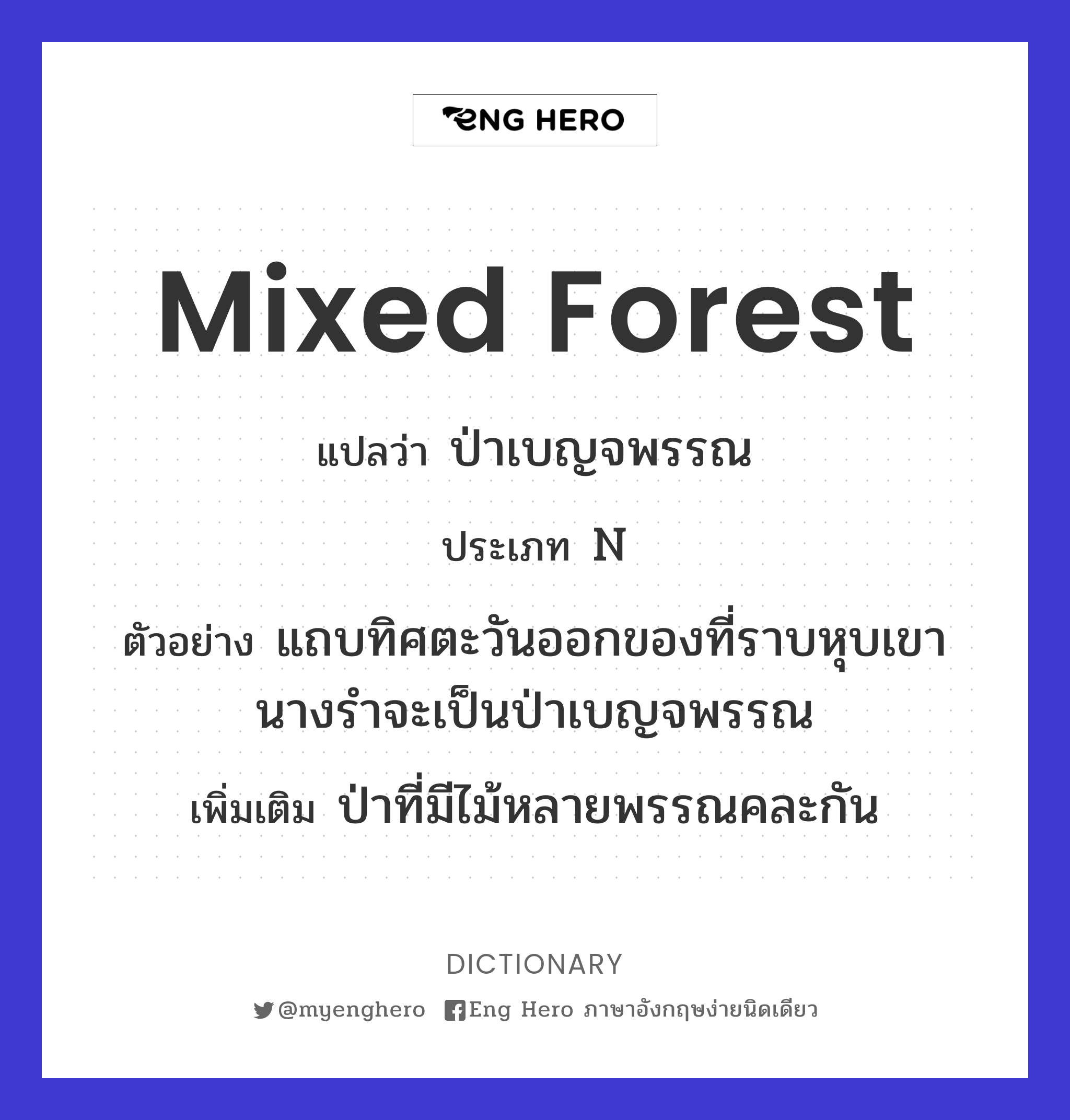 mixed forest