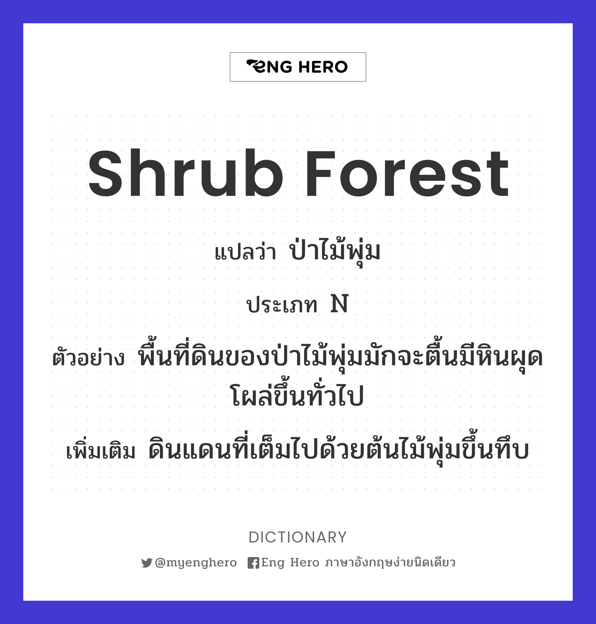 shrub forest