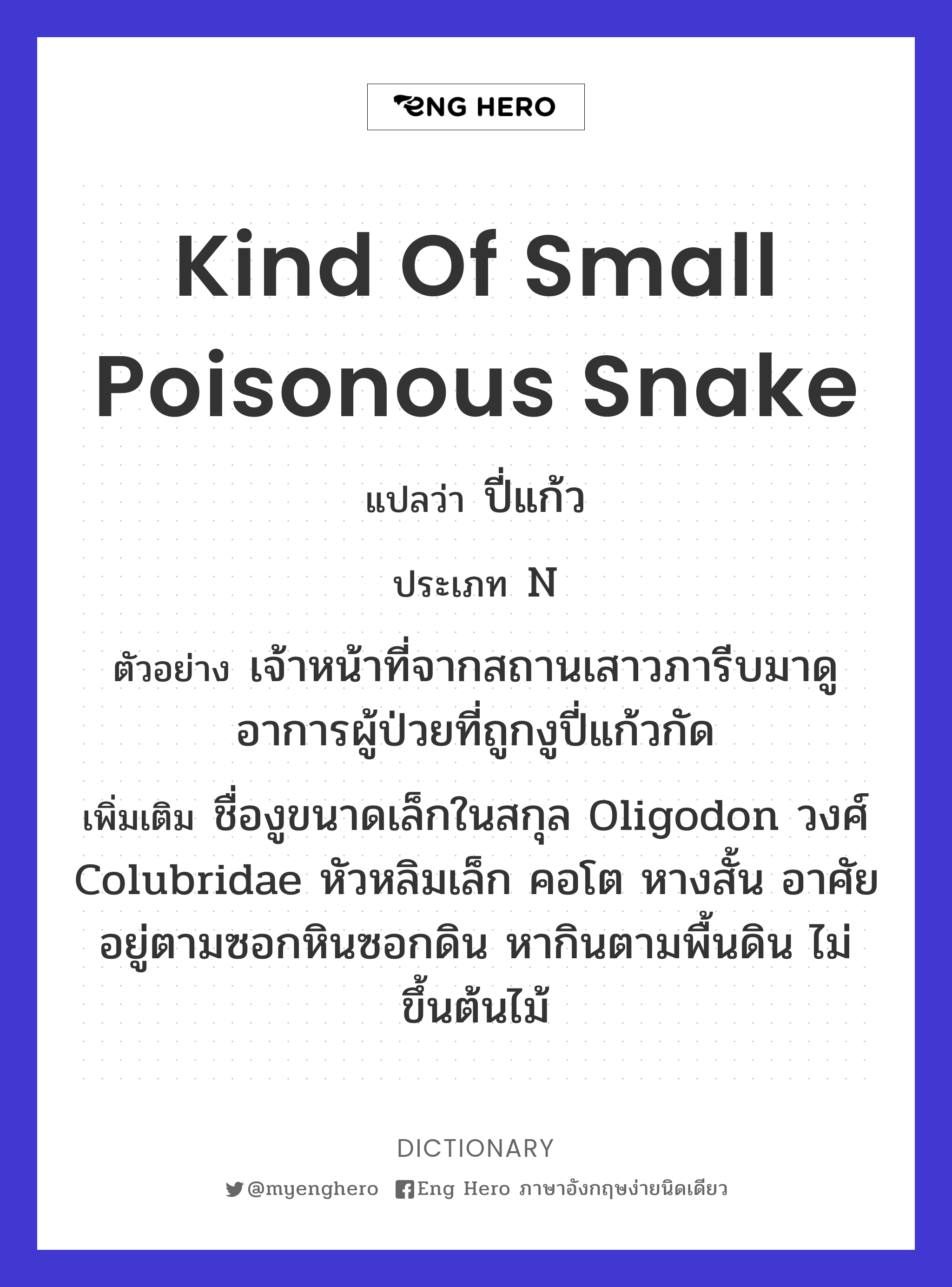 kind of small poisonous snake
