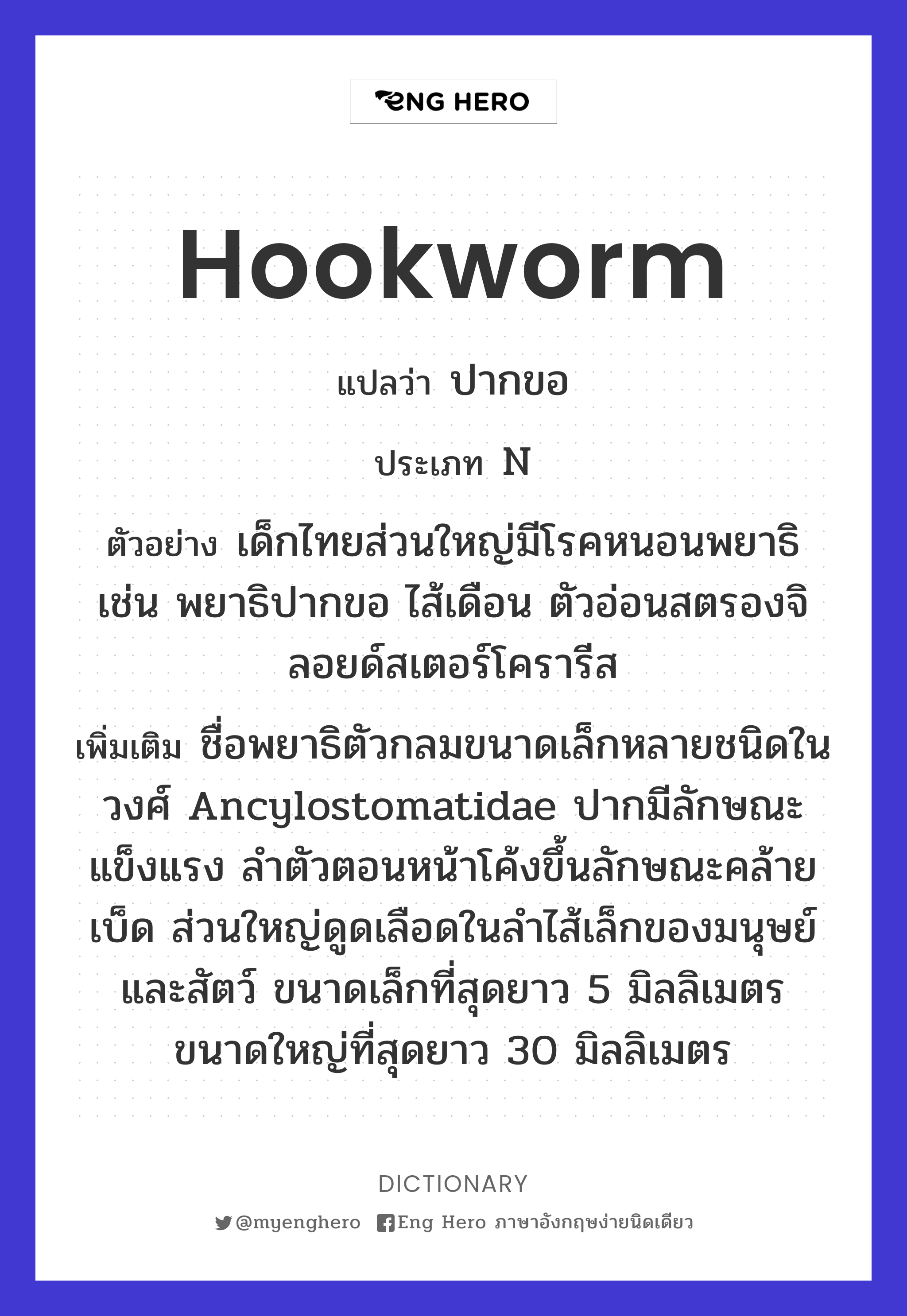 hookworm