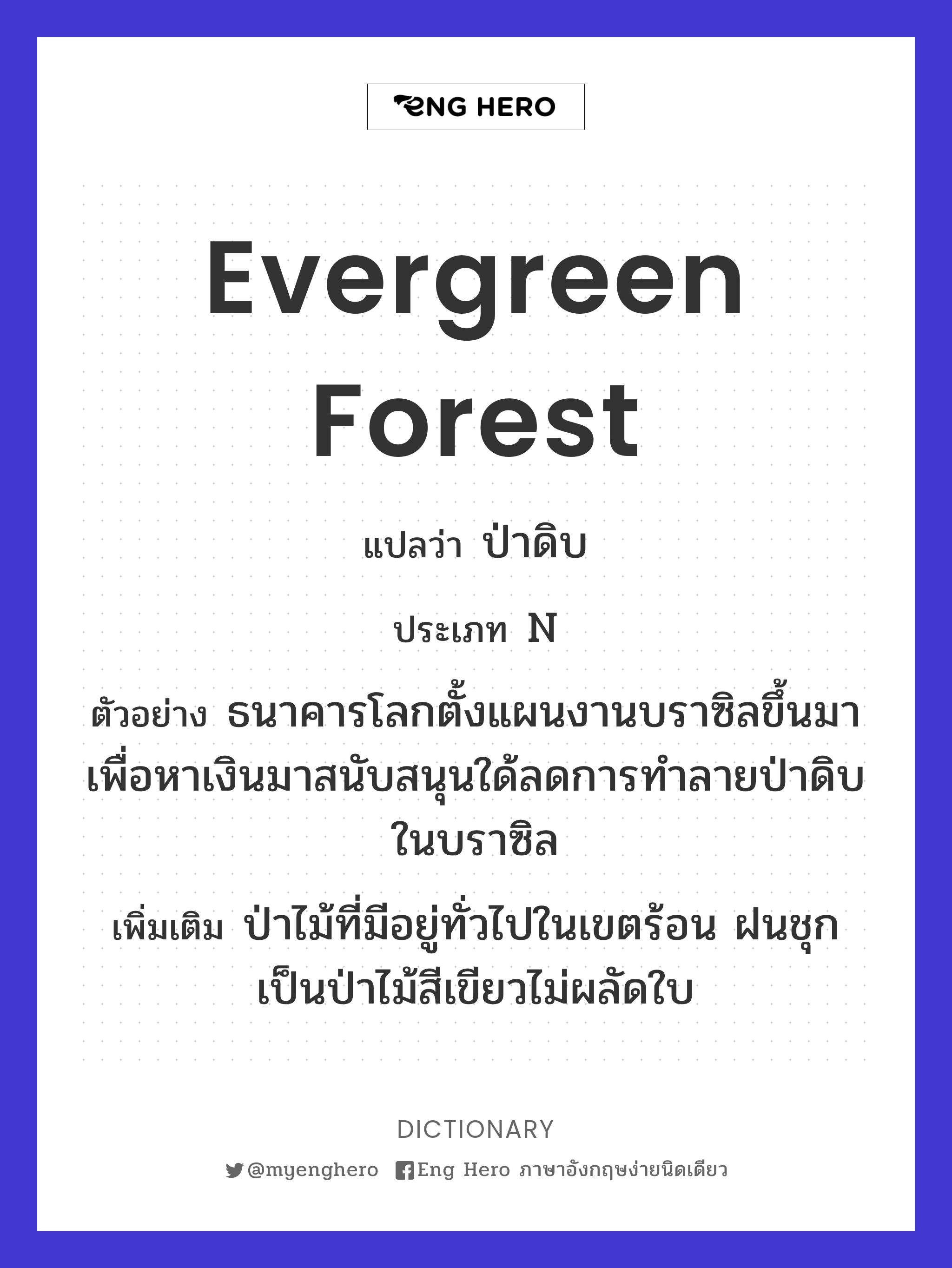 evergreen forest