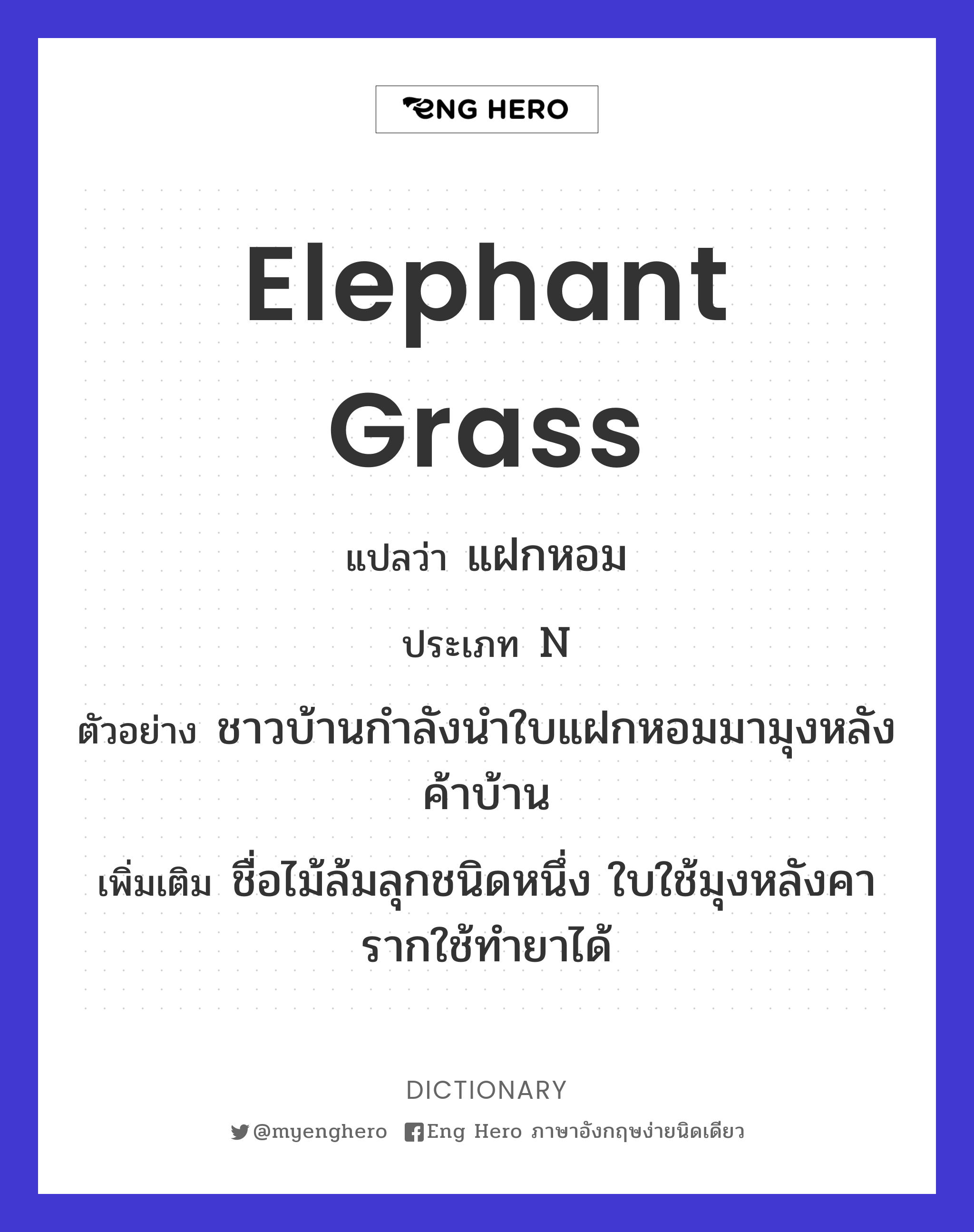 elephant grass