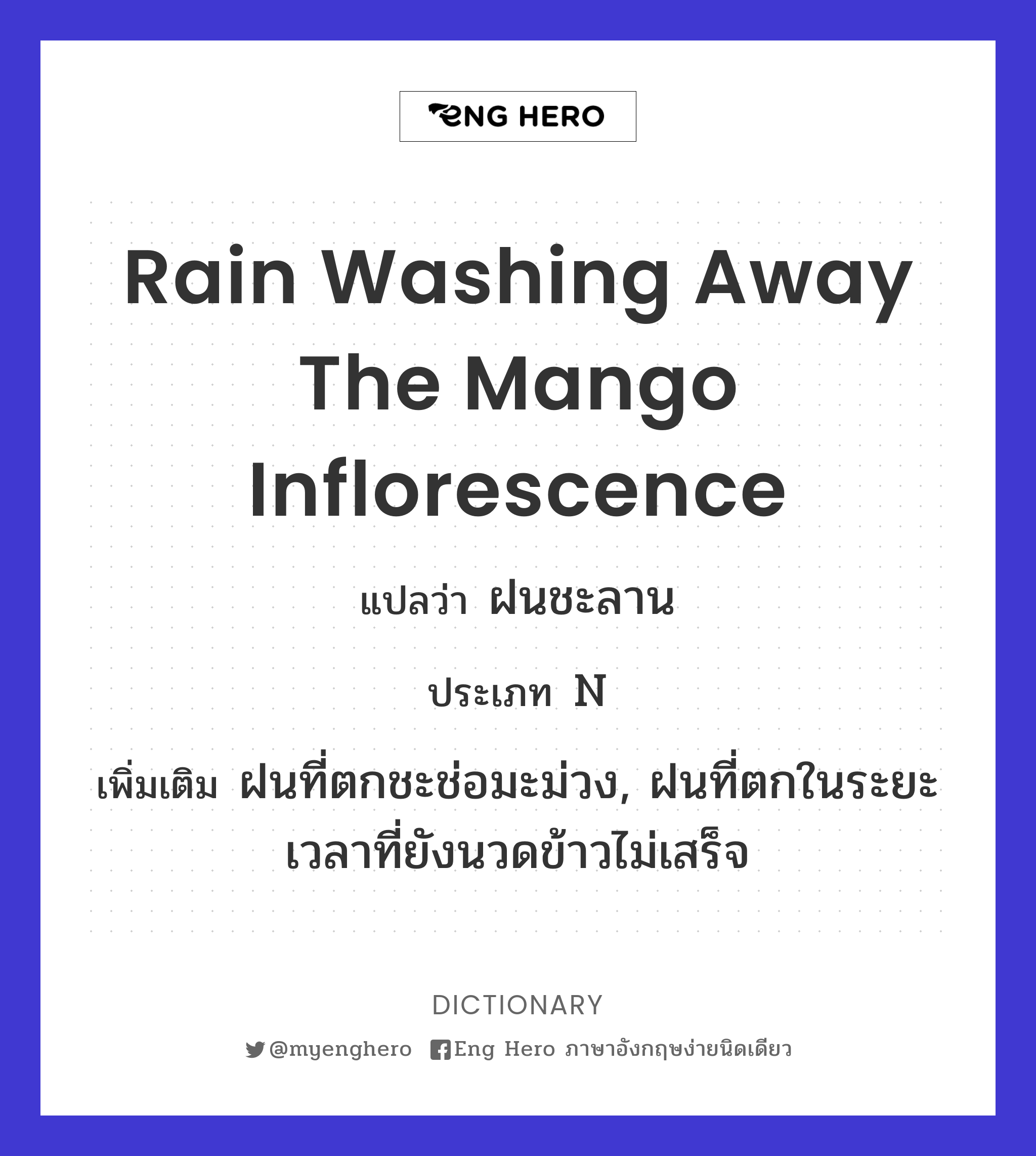 rain washing away the mango inflorescence