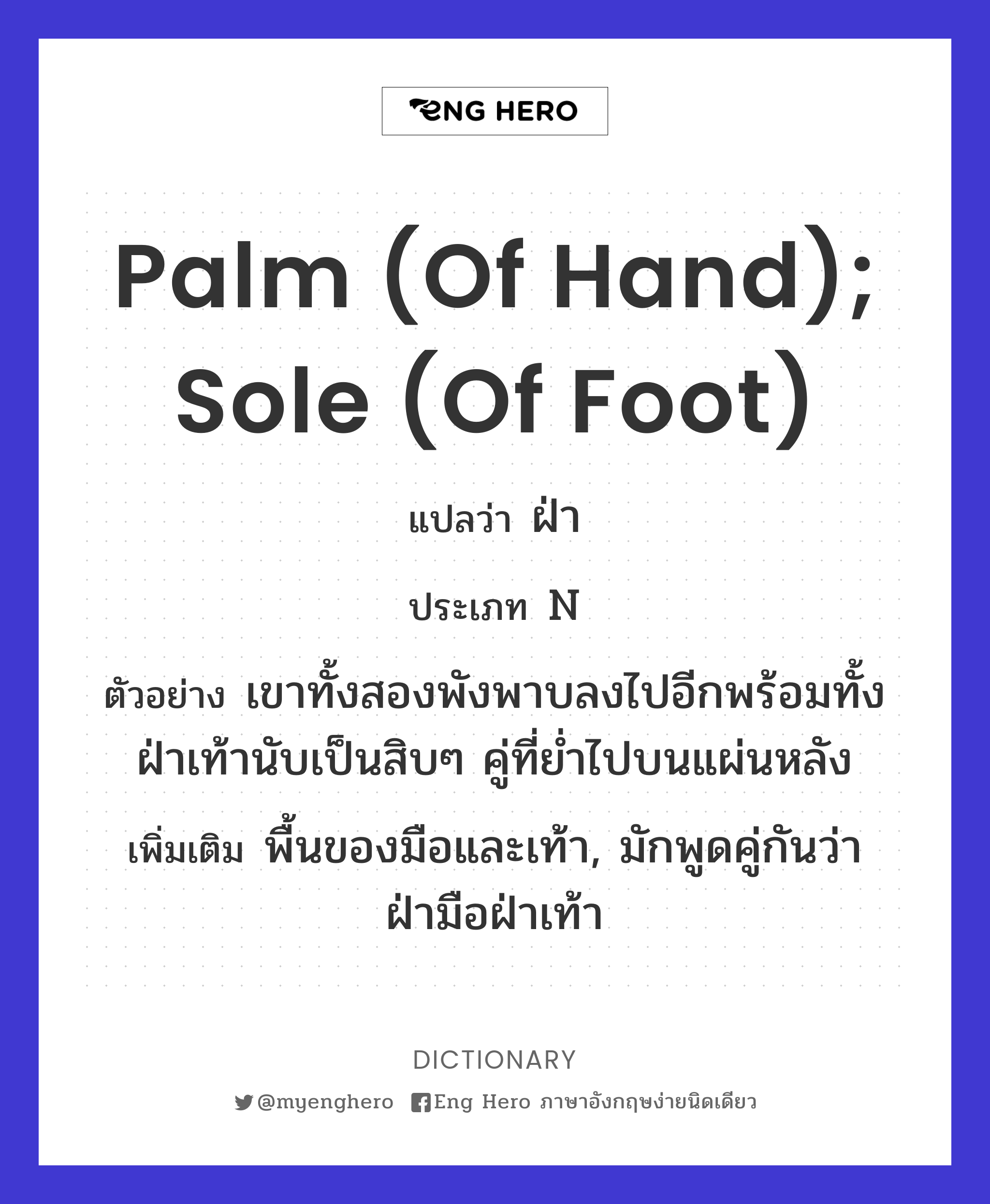 palm (of hand); sole (of foot)