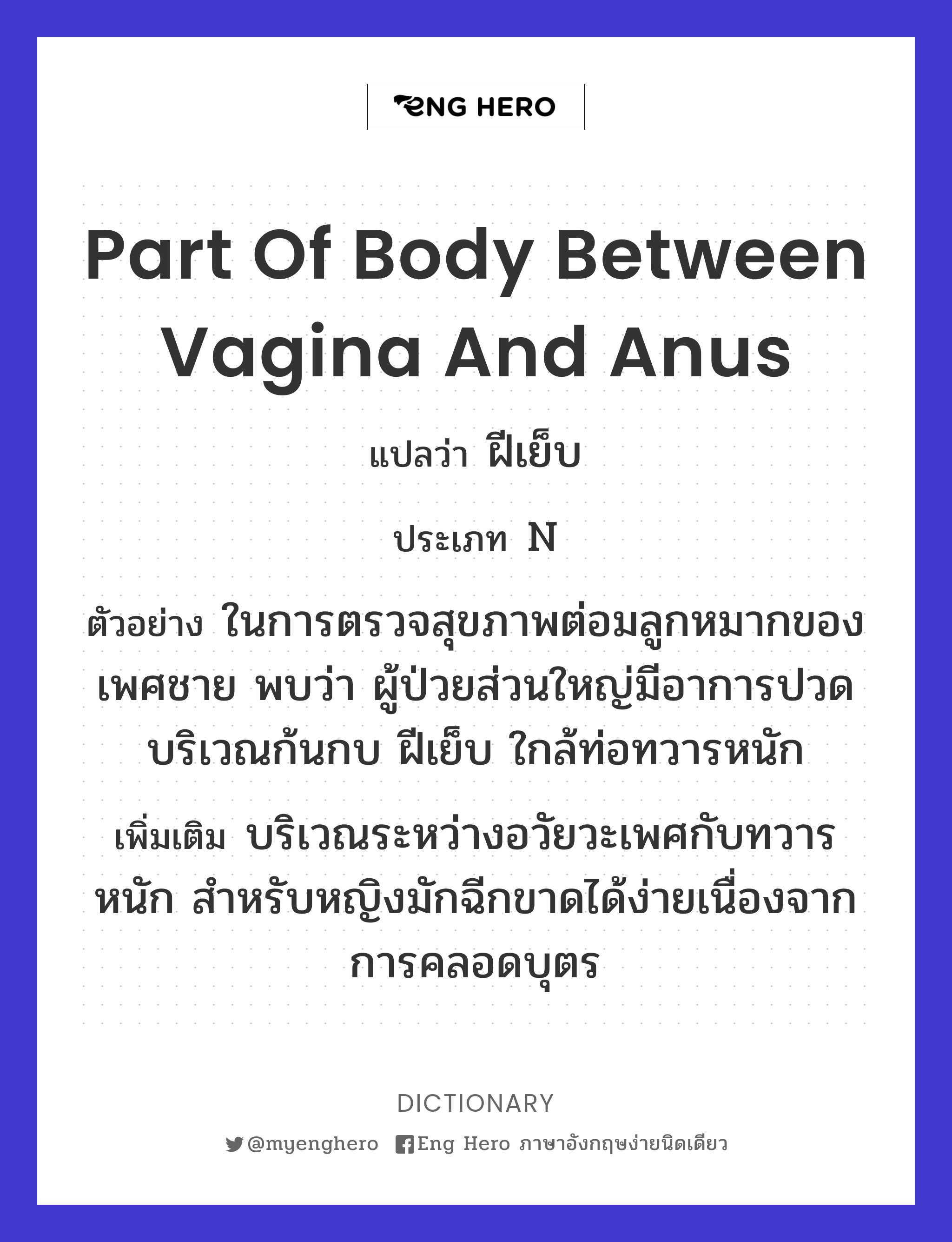 part of body between vagina and anus