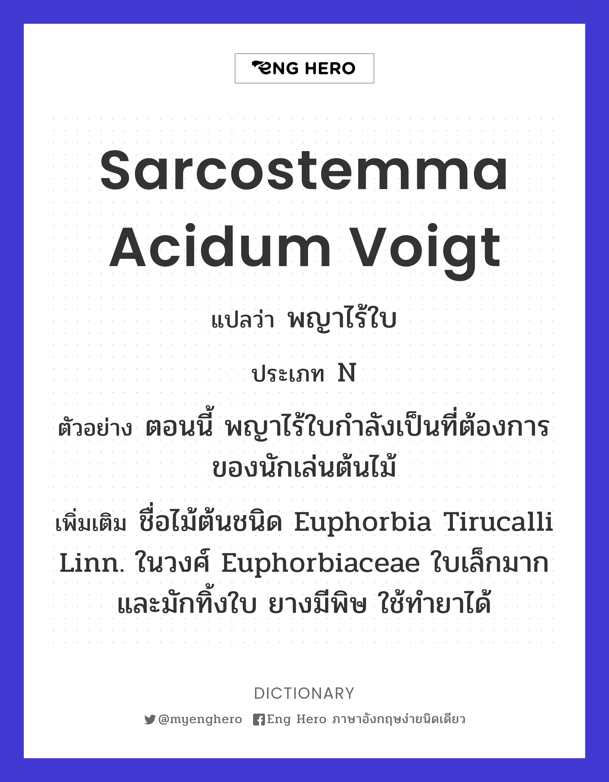 Sarcostemma acidum Voigt