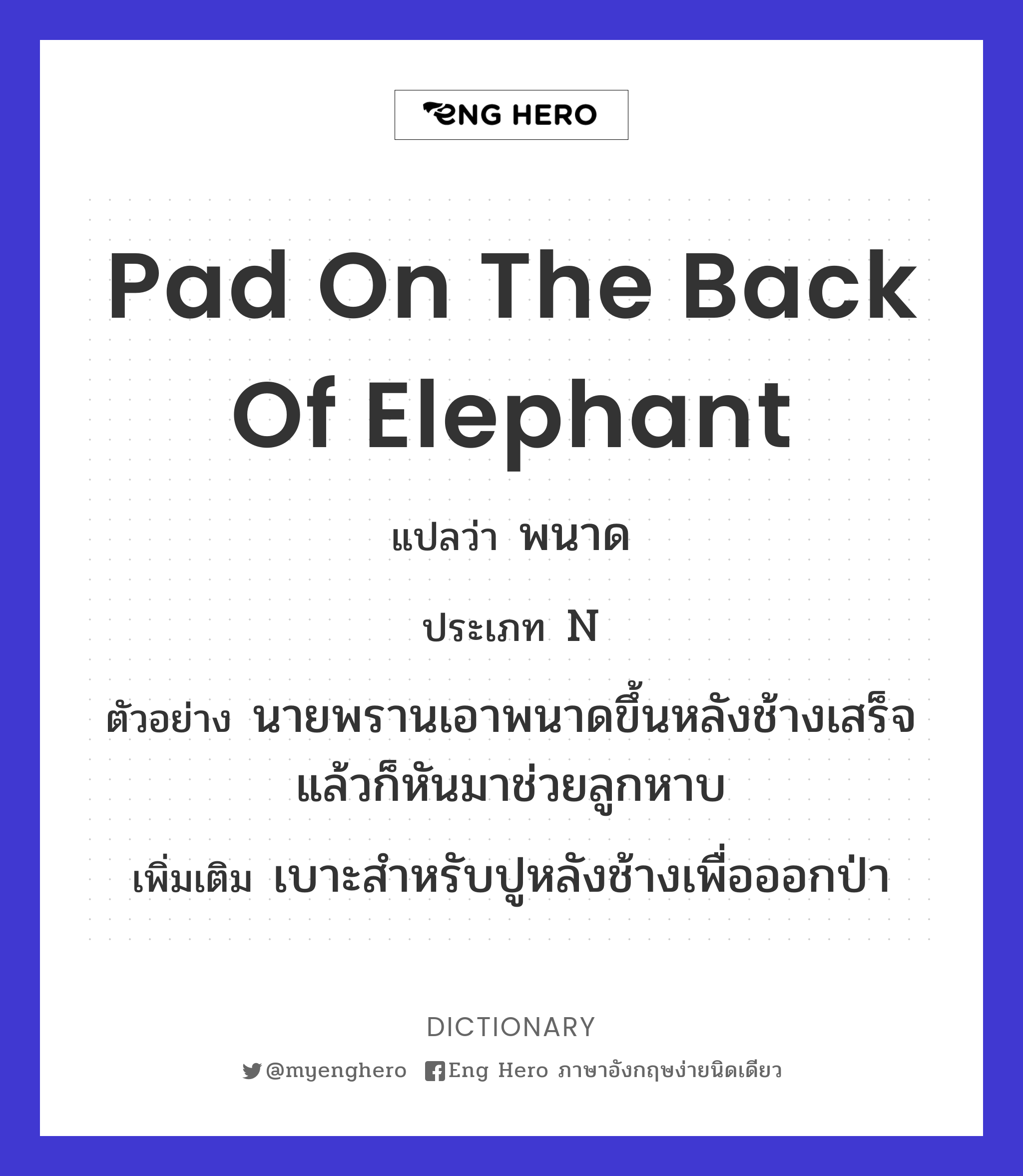 pad on the back of elephant