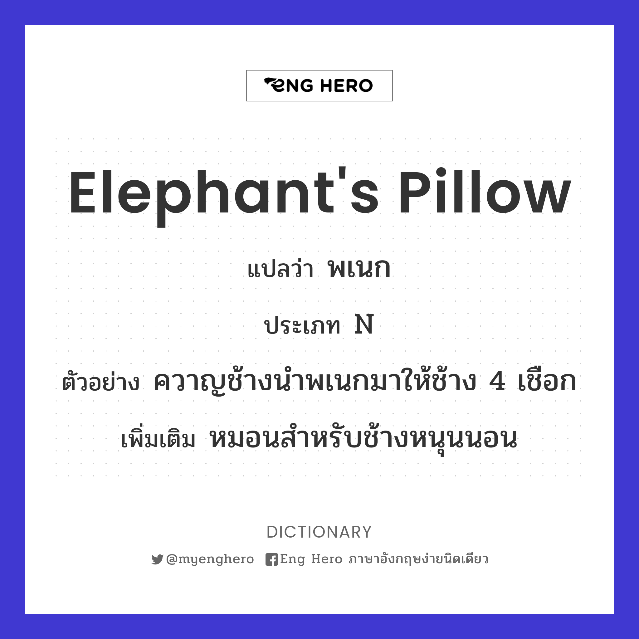 elephant's pillow