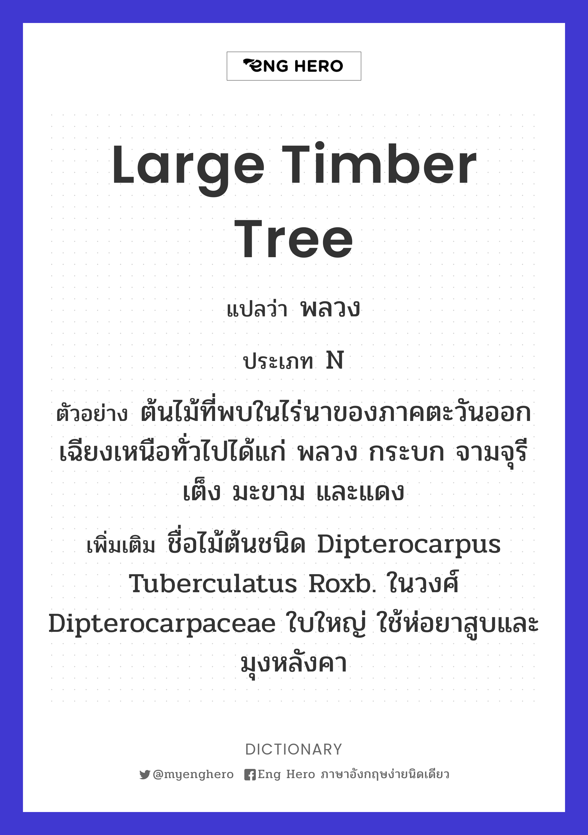 large timber tree