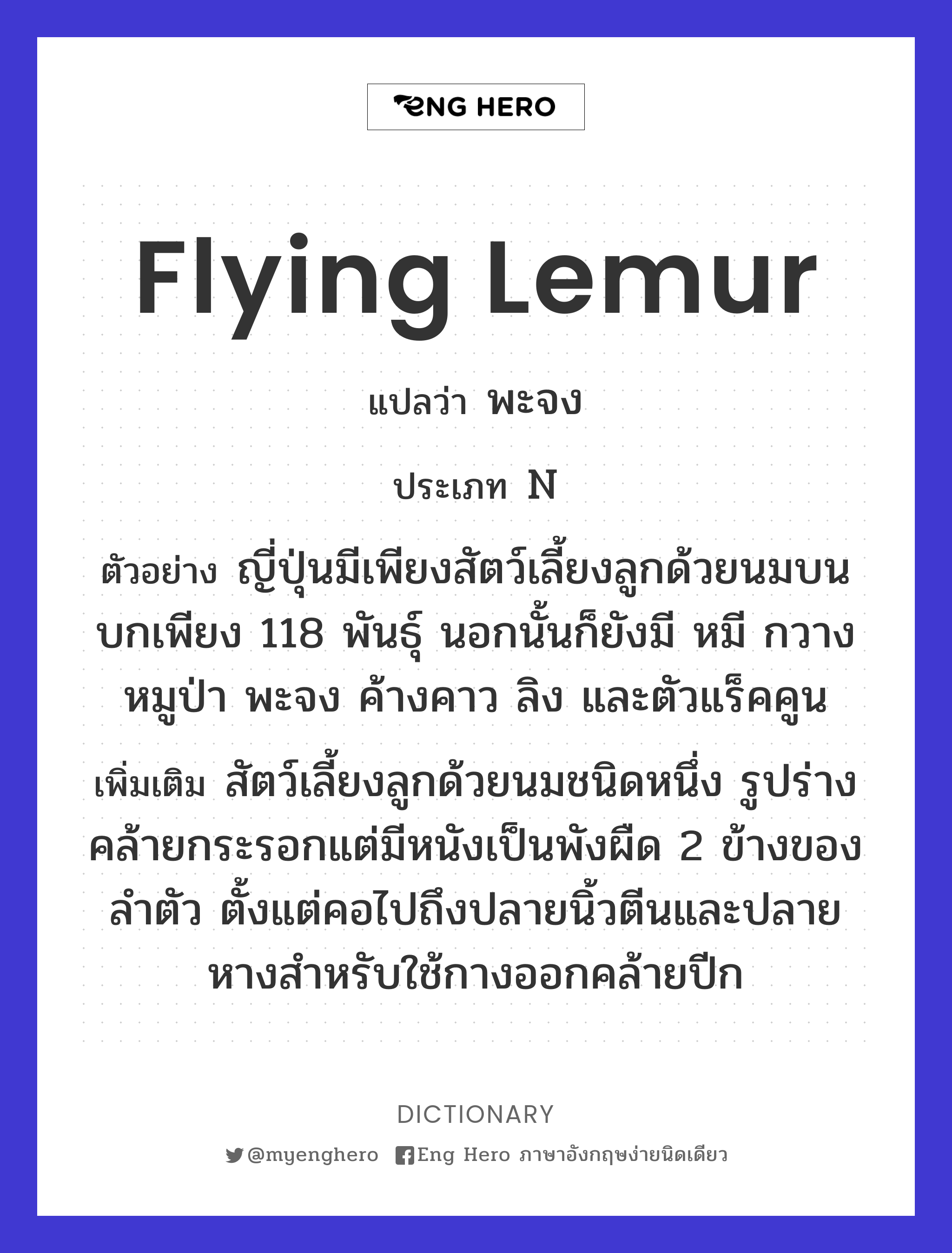 flying lemur