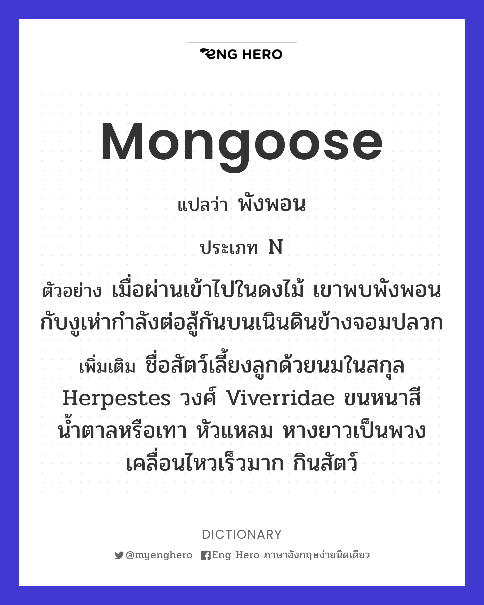 mongoose