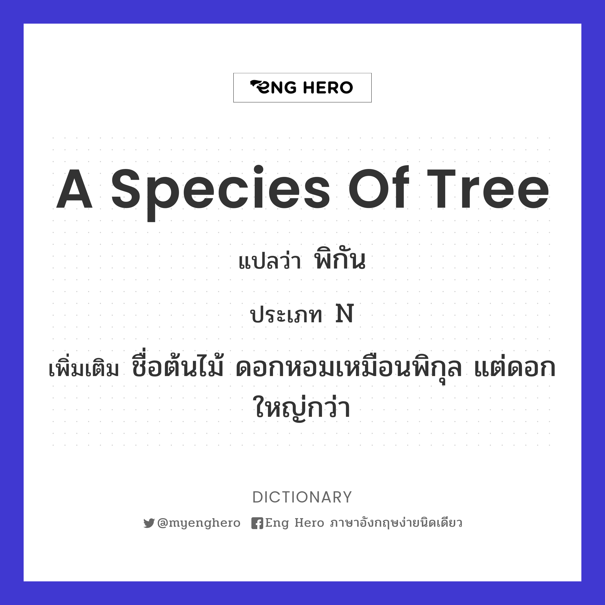 a species of tree
