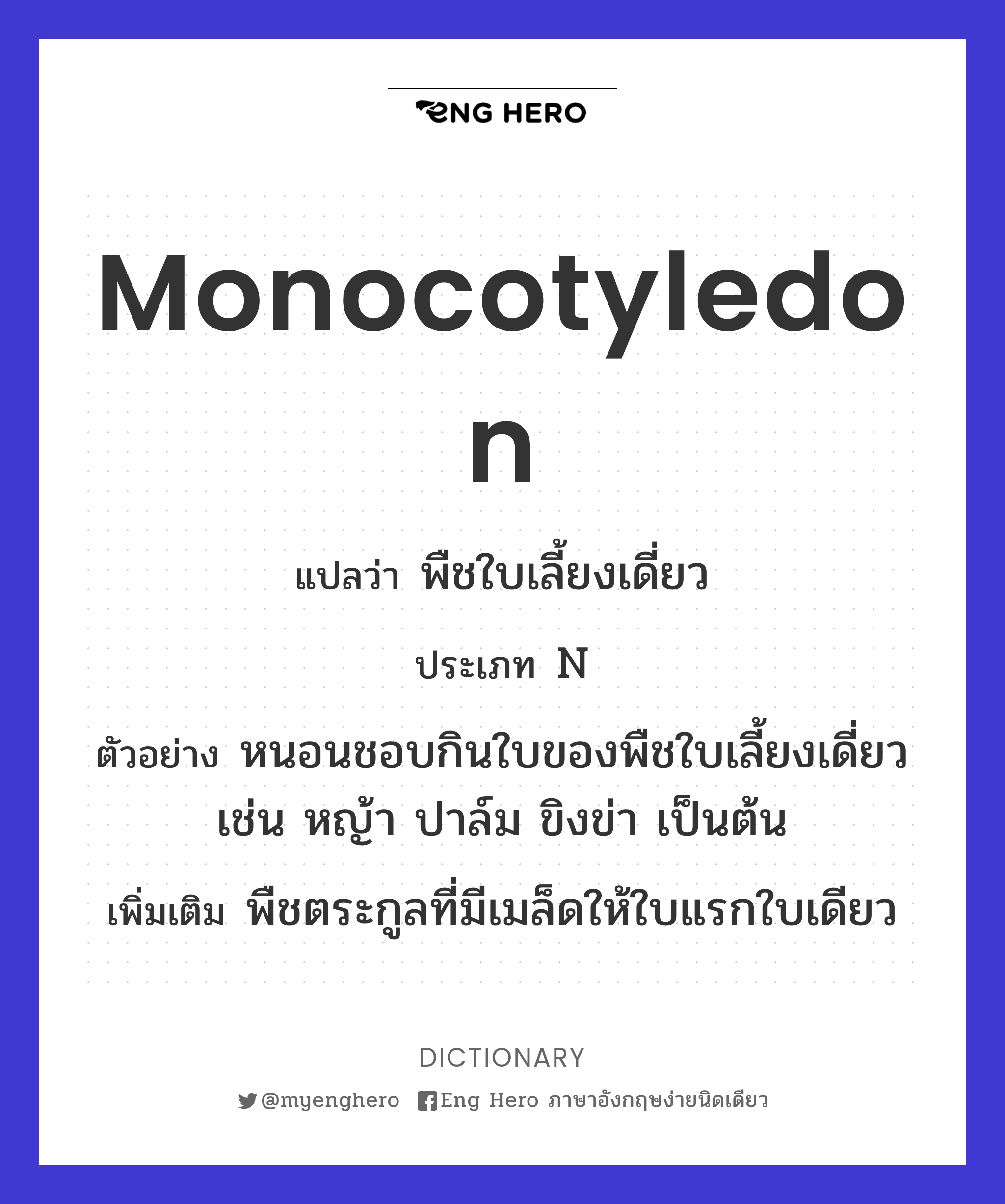 monocotyledon