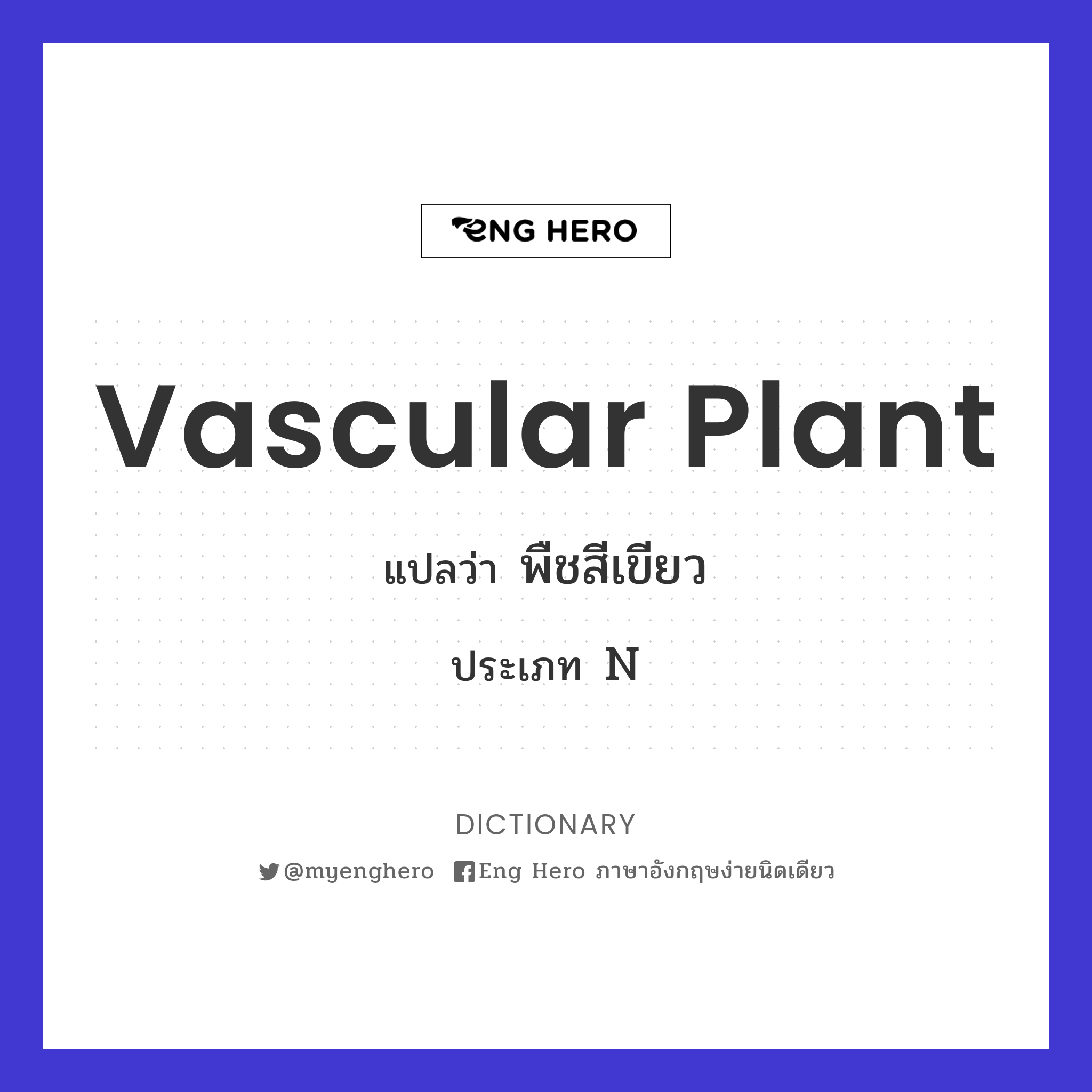 vascular plant