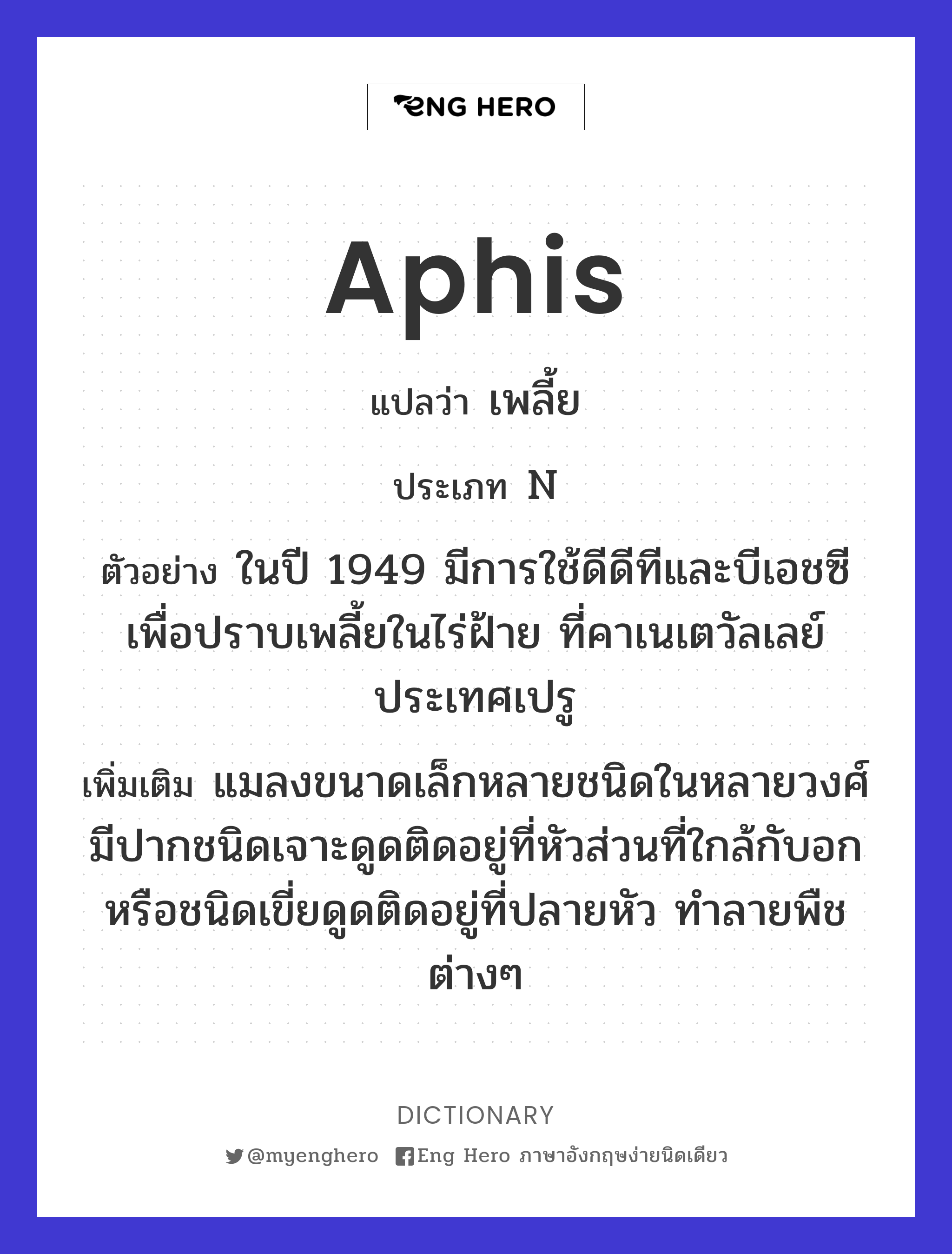 aphis