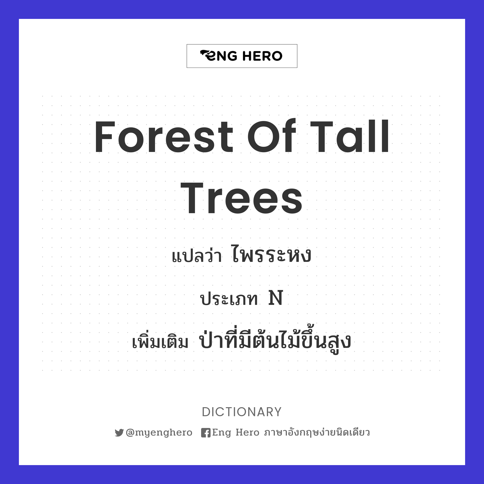 forest of tall trees