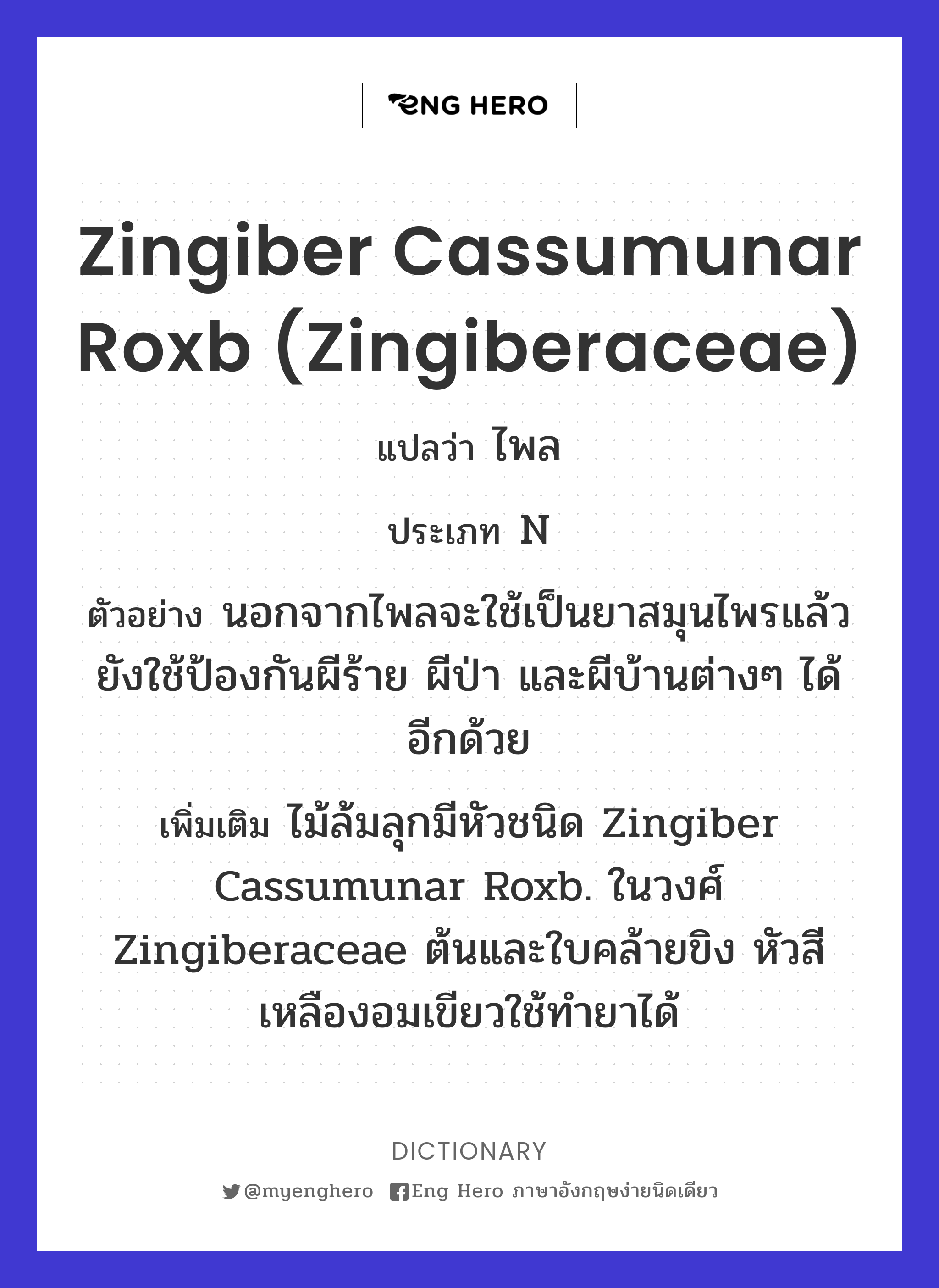 Zingiber cassumunar Roxb (Zingiberaceae)