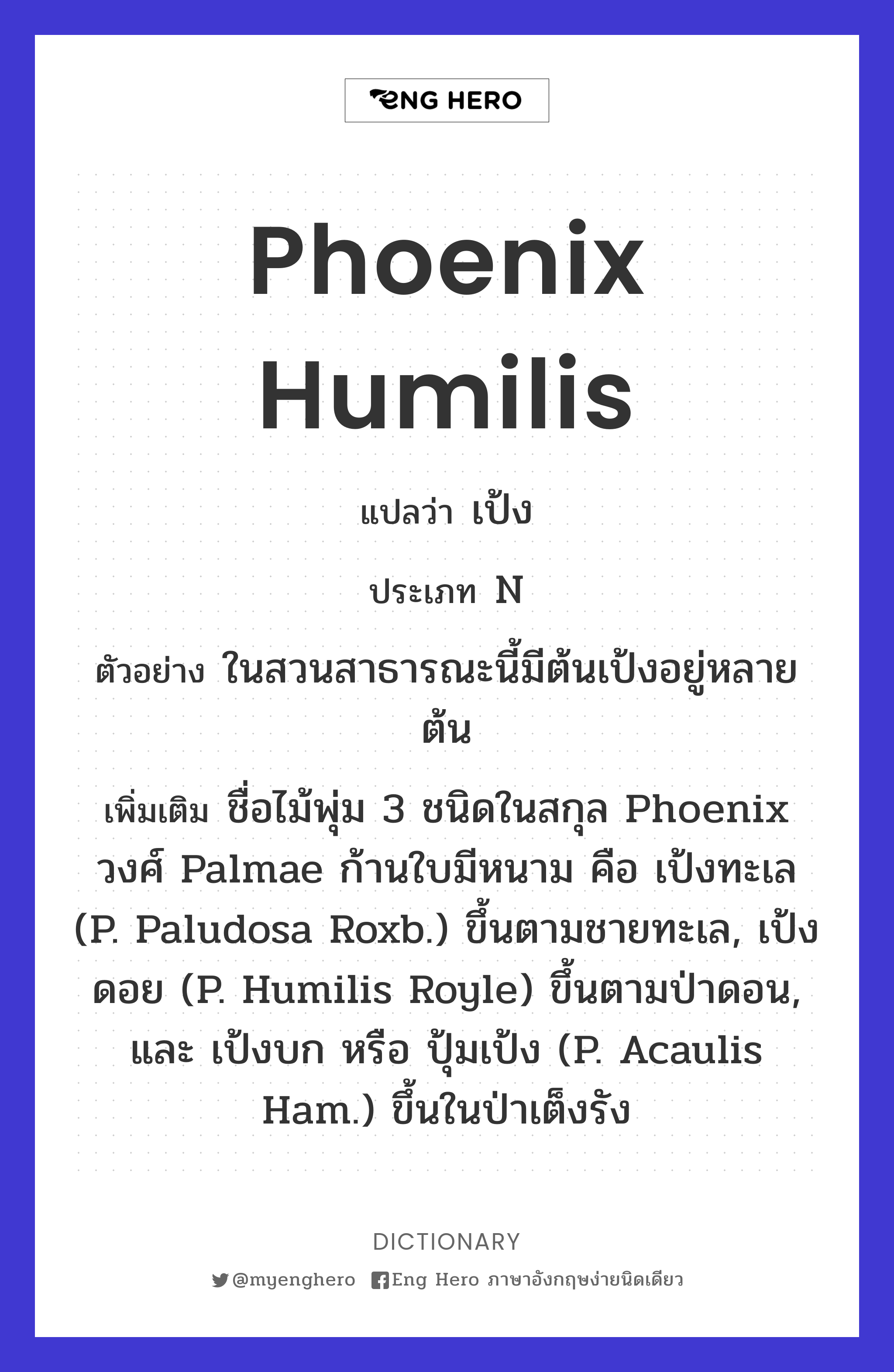 Phoenix humilis