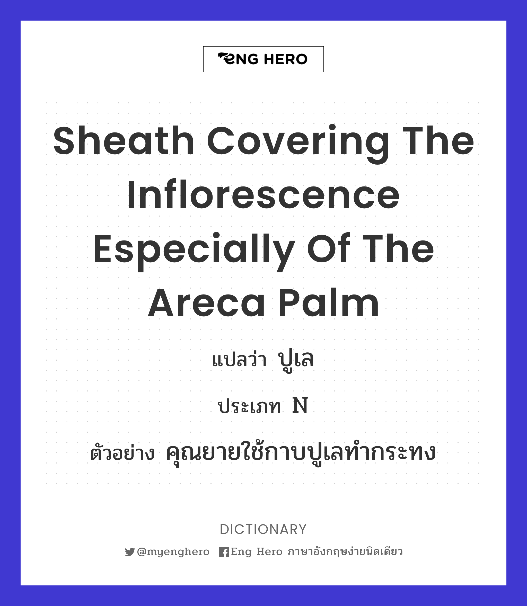 sheath covering the inflorescence especially of the areca palm