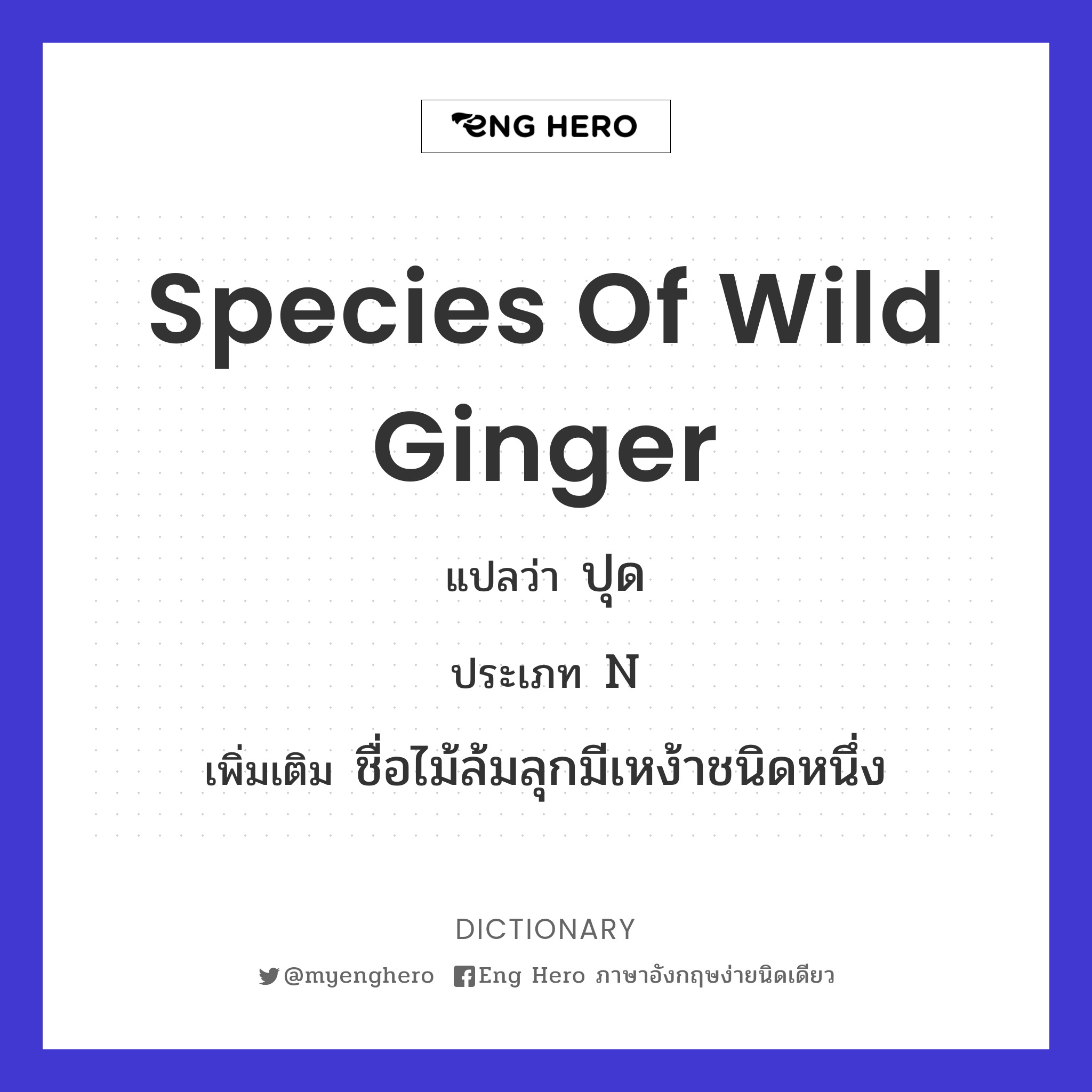 species of wild ginger