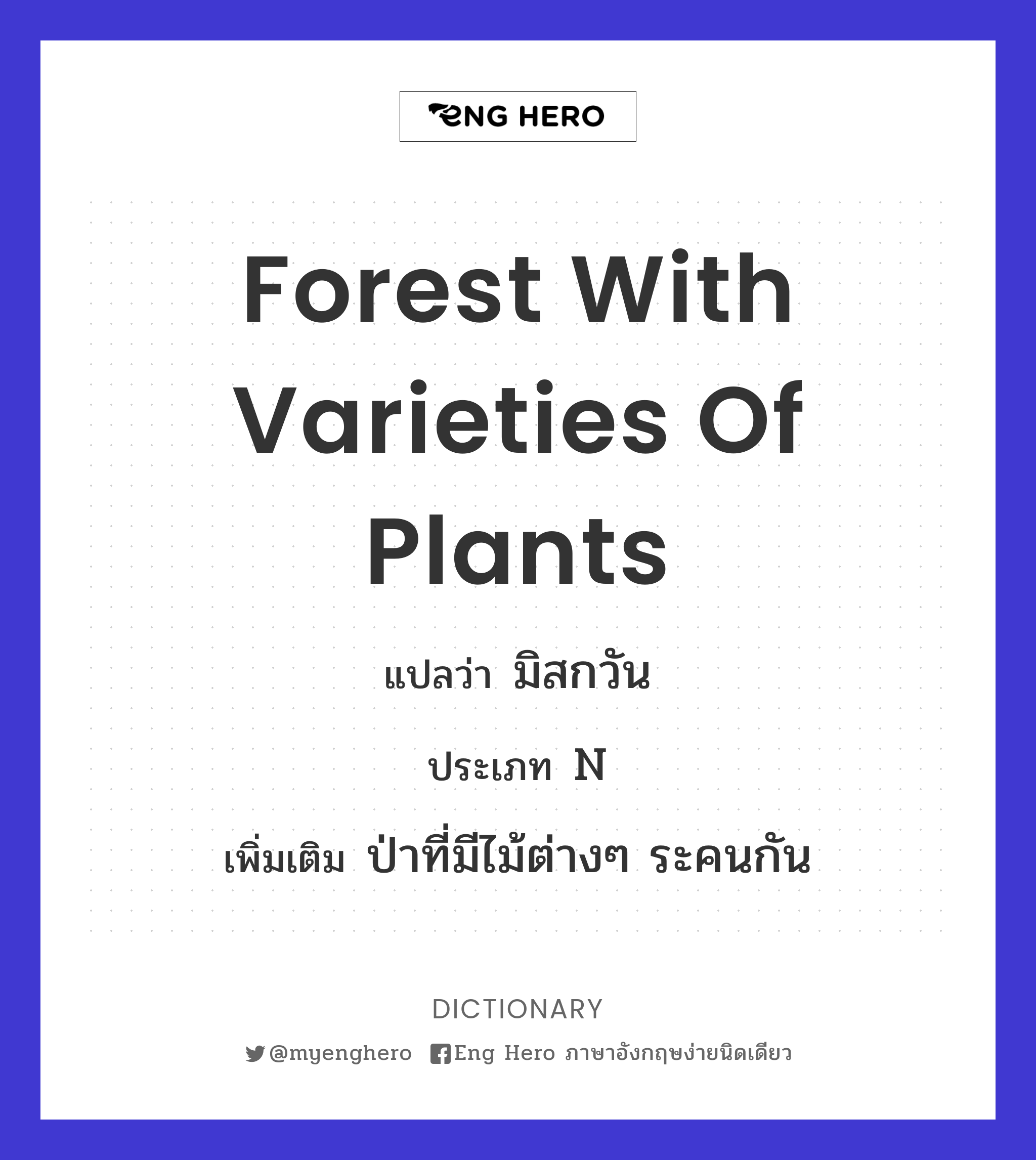 forest with varieties of plants