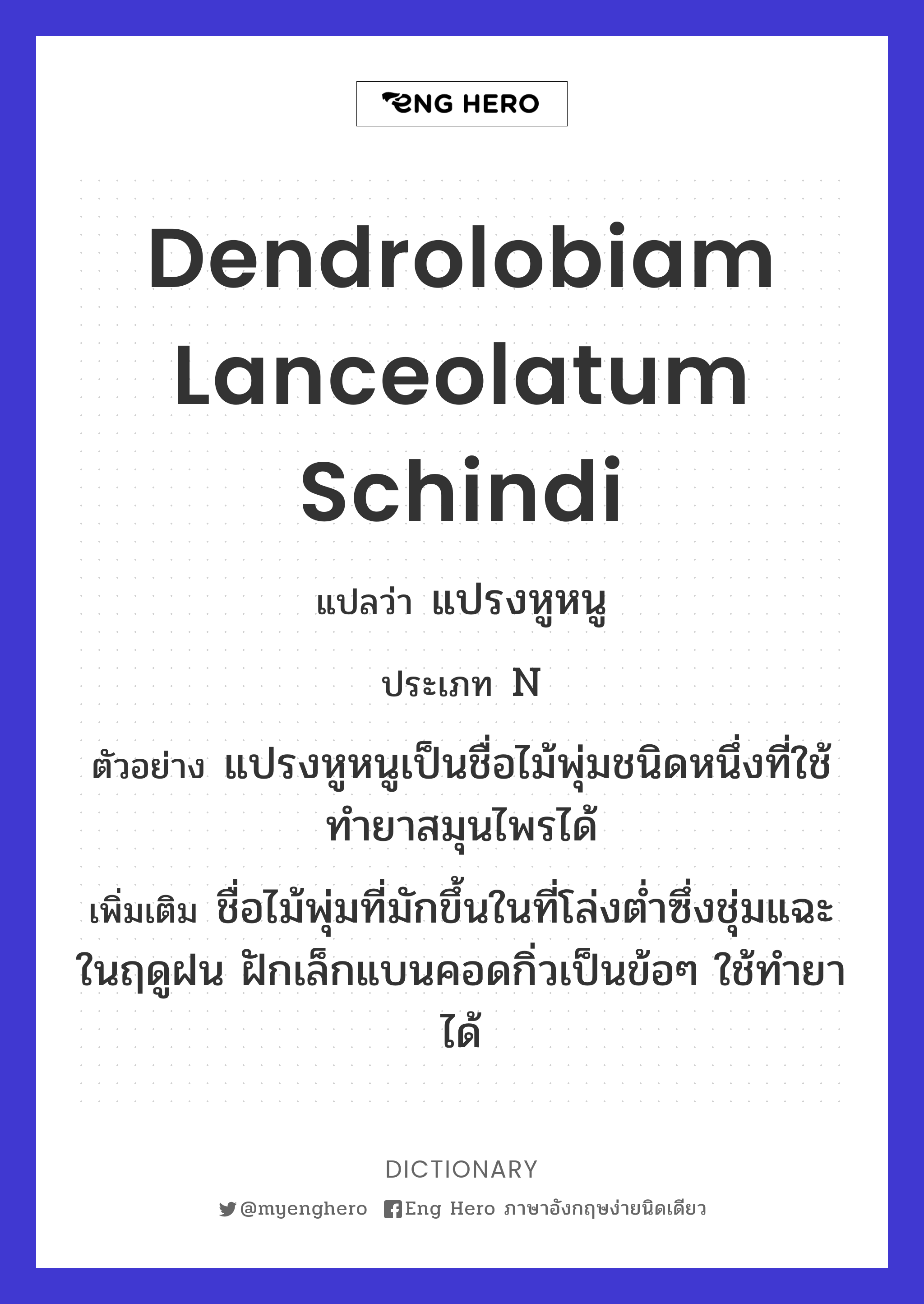 Dendrolobiam lanceolatum Schindi